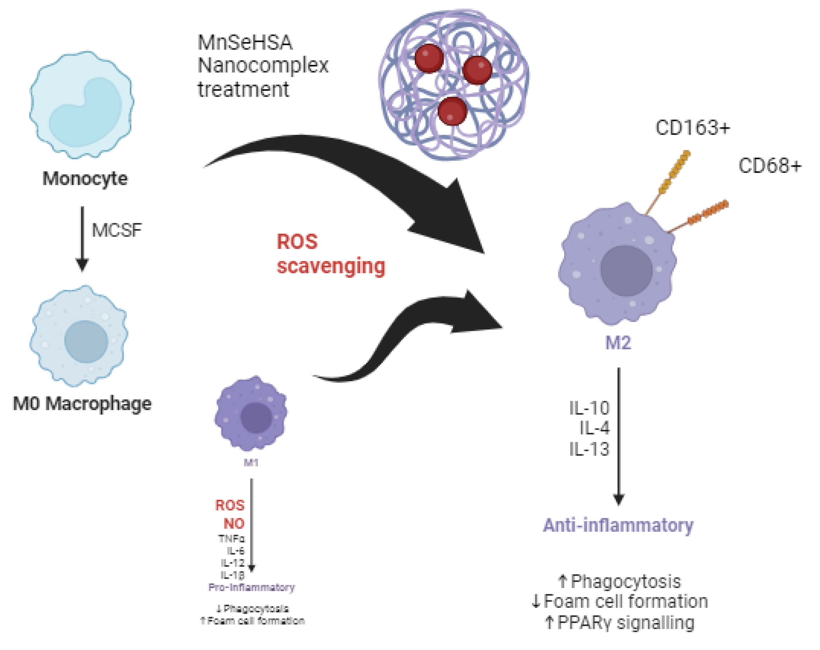 Preprints 116297 g003