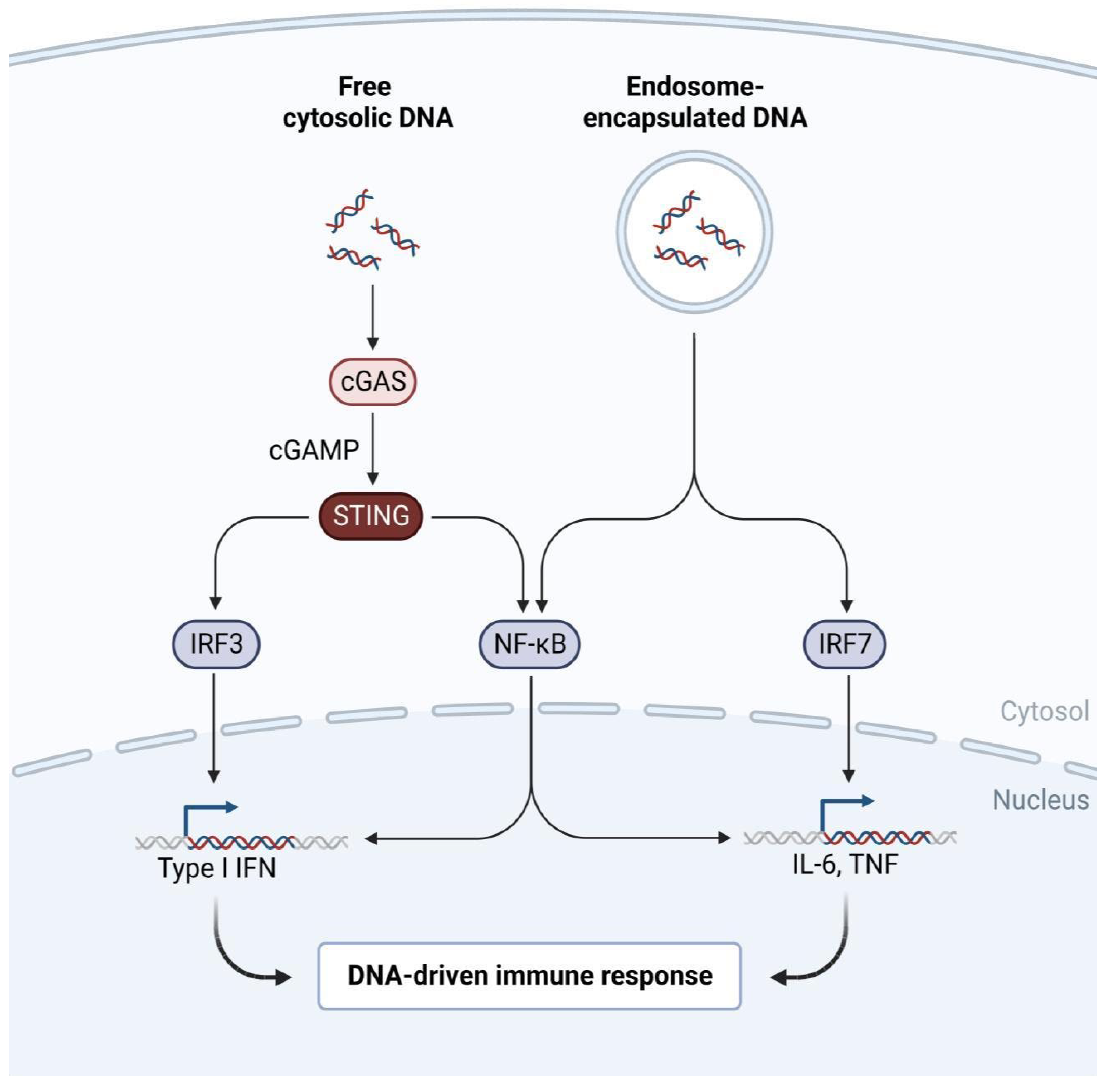 Preprints 108913 g001