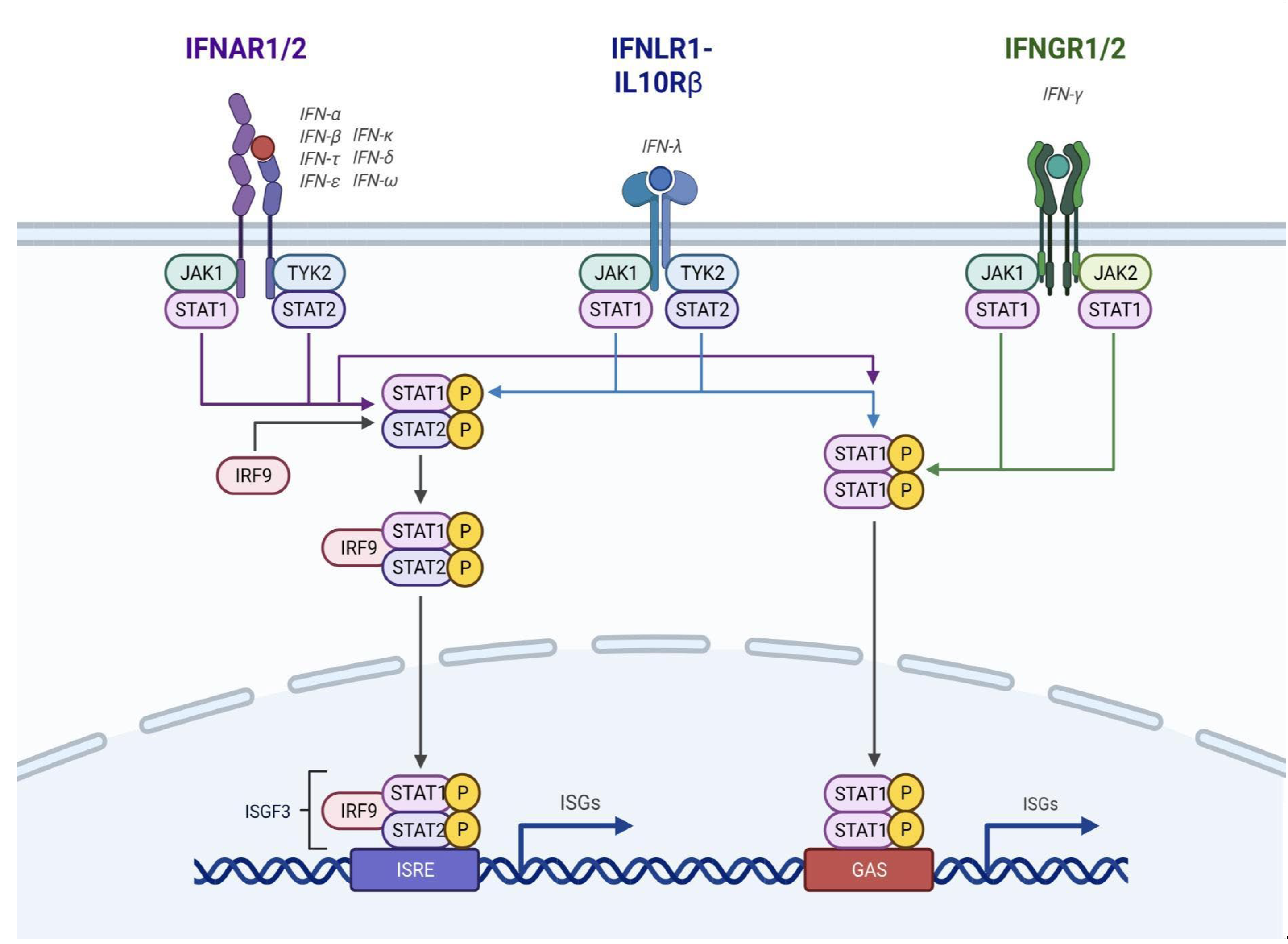 Preprints 108913 g002