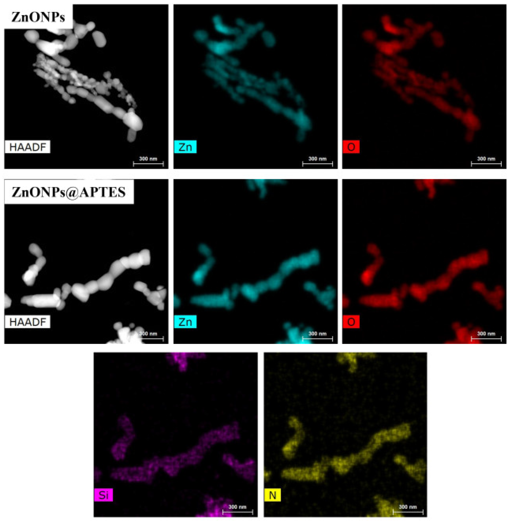 Preprints 117608 g005