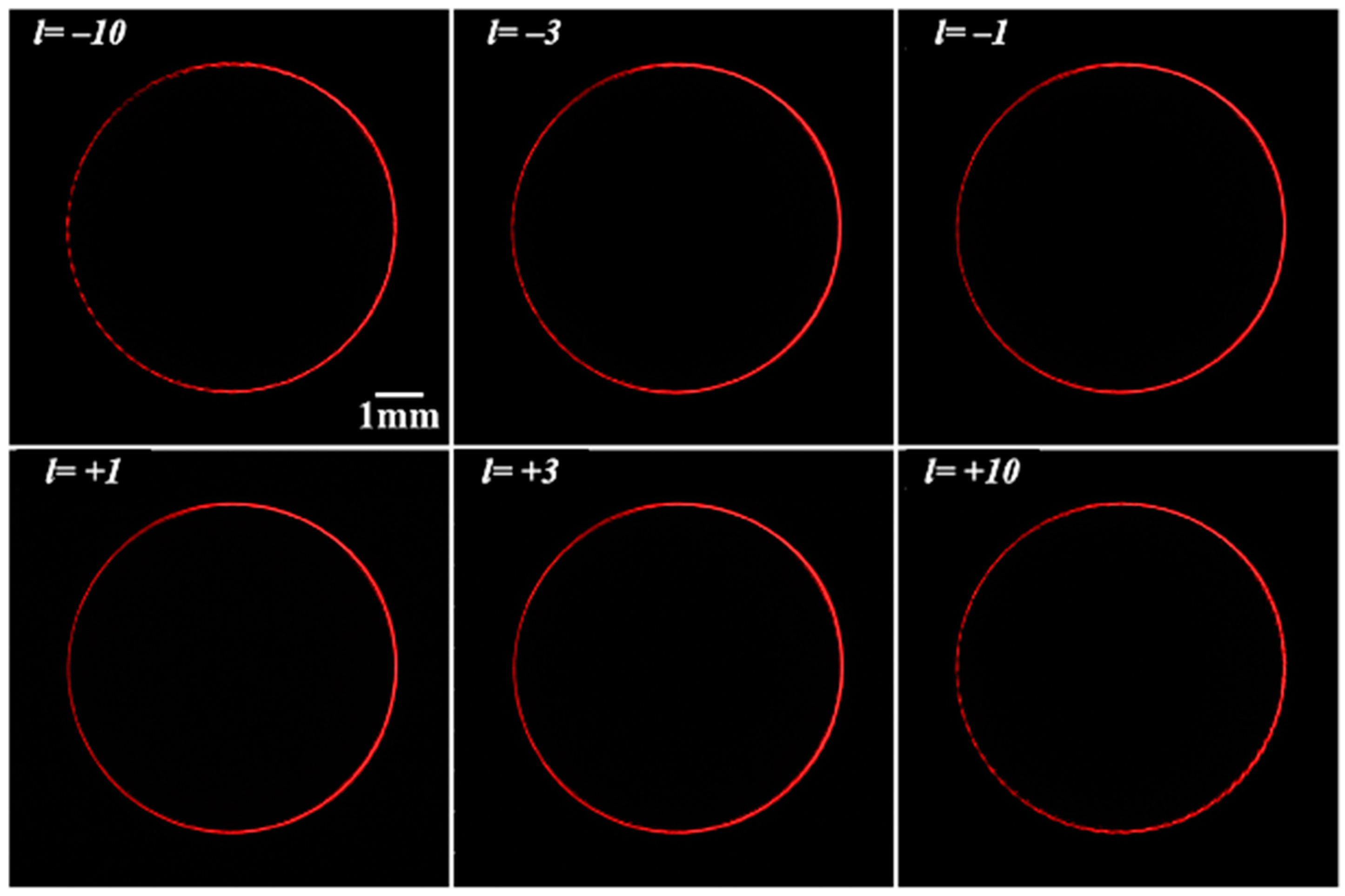 Preprints 90104 g010