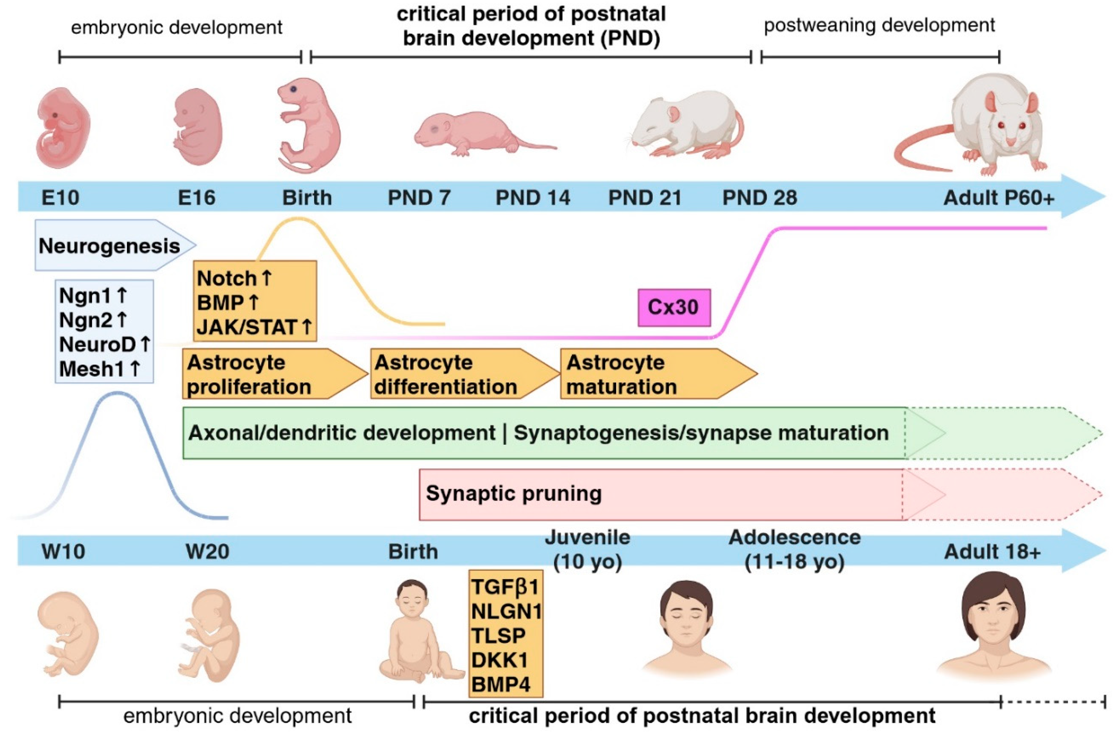 Preprints 89403 g001