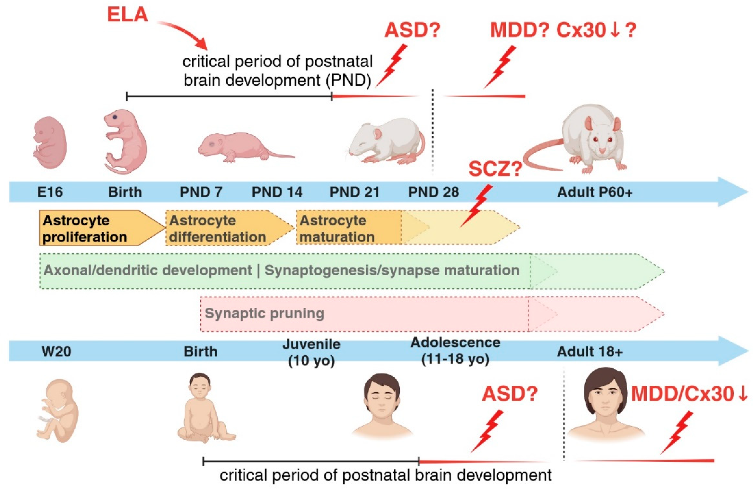 Preprints 89403 g002