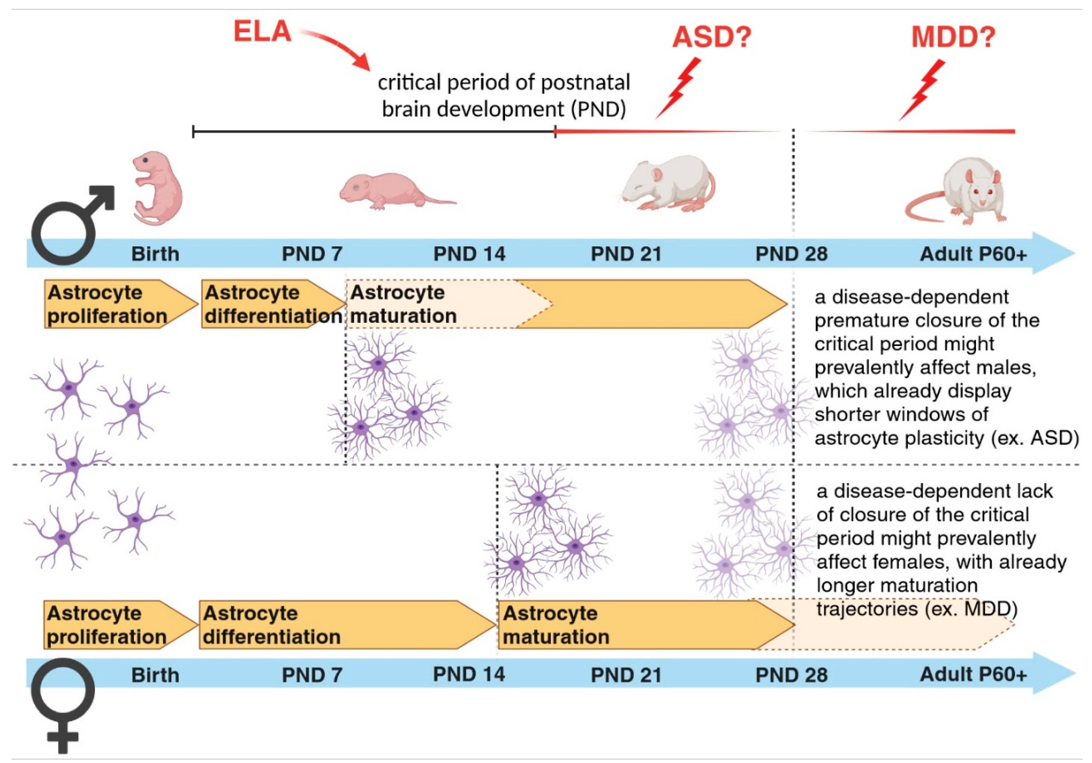 Preprints 89403 g004