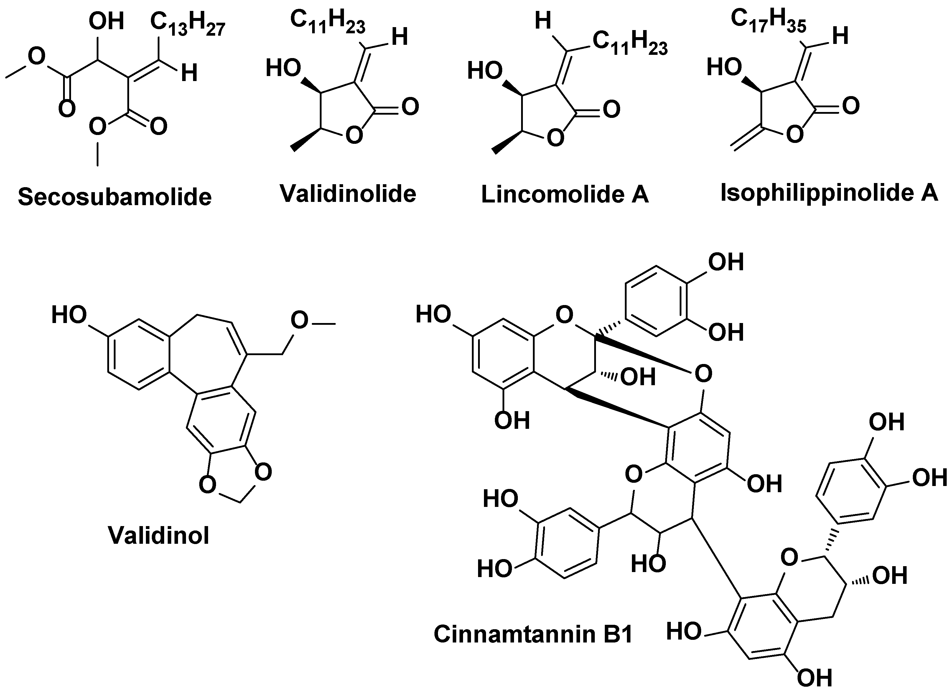 Preprints 105404 g016