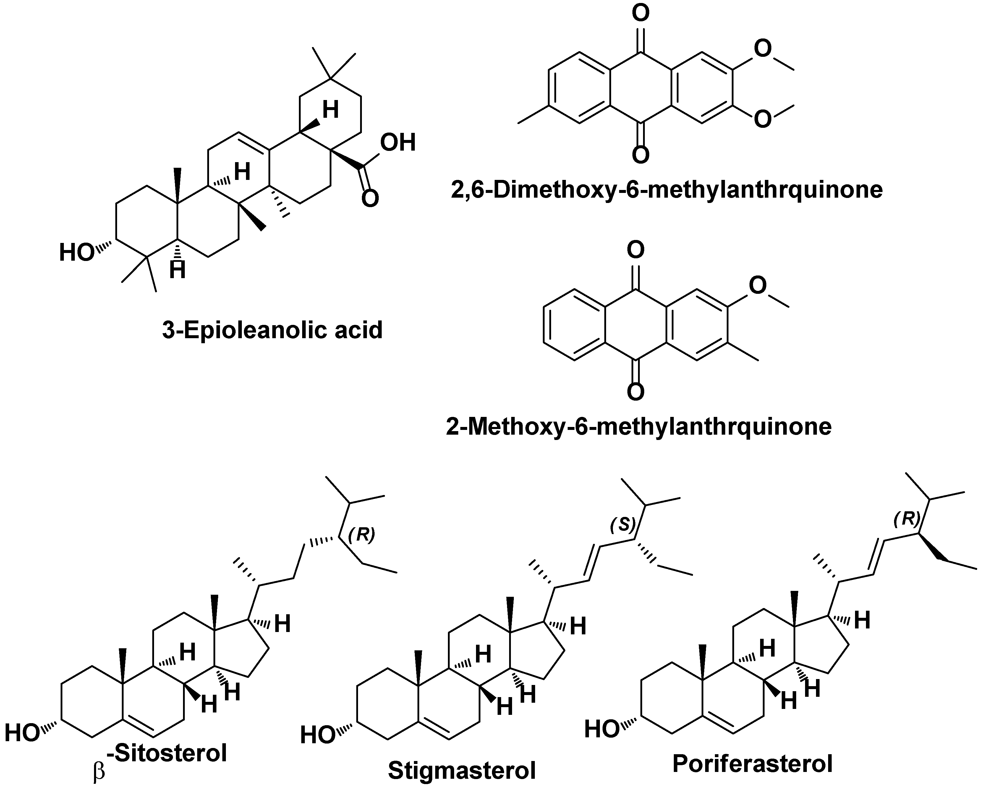 Preprints 105404 g019