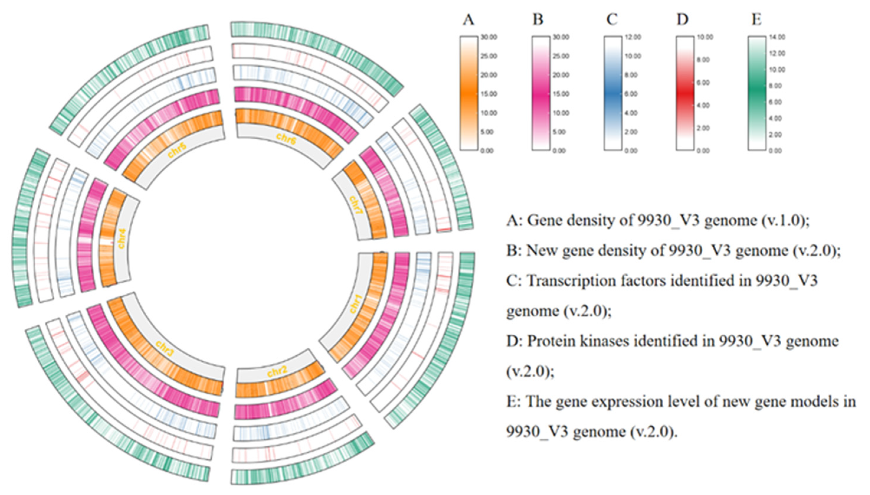 Preprints 104351 g001