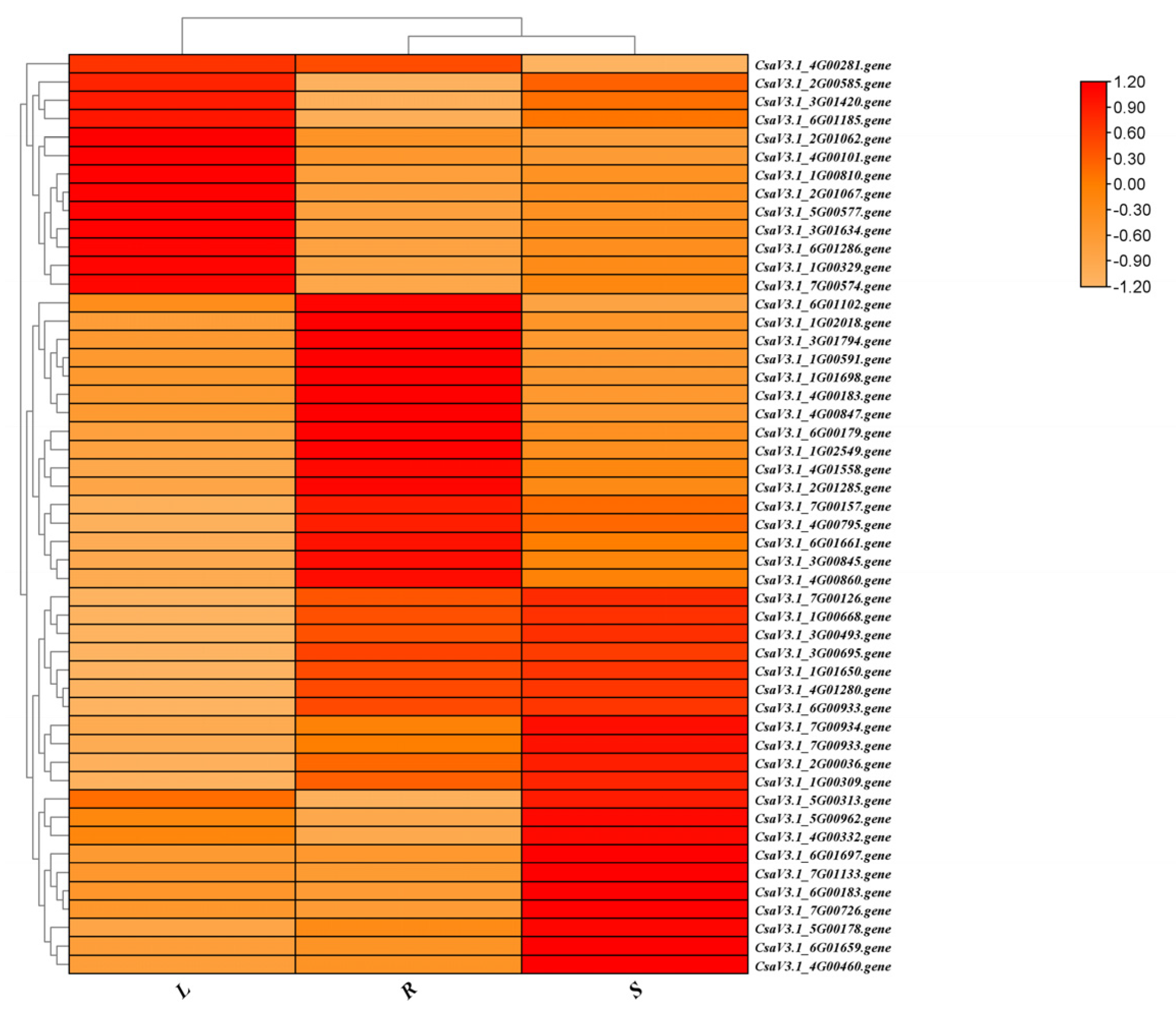 Preprints 104351 g002