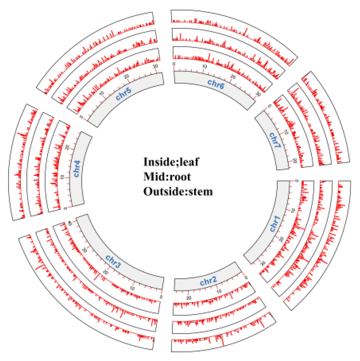 Preprints 104351 g005