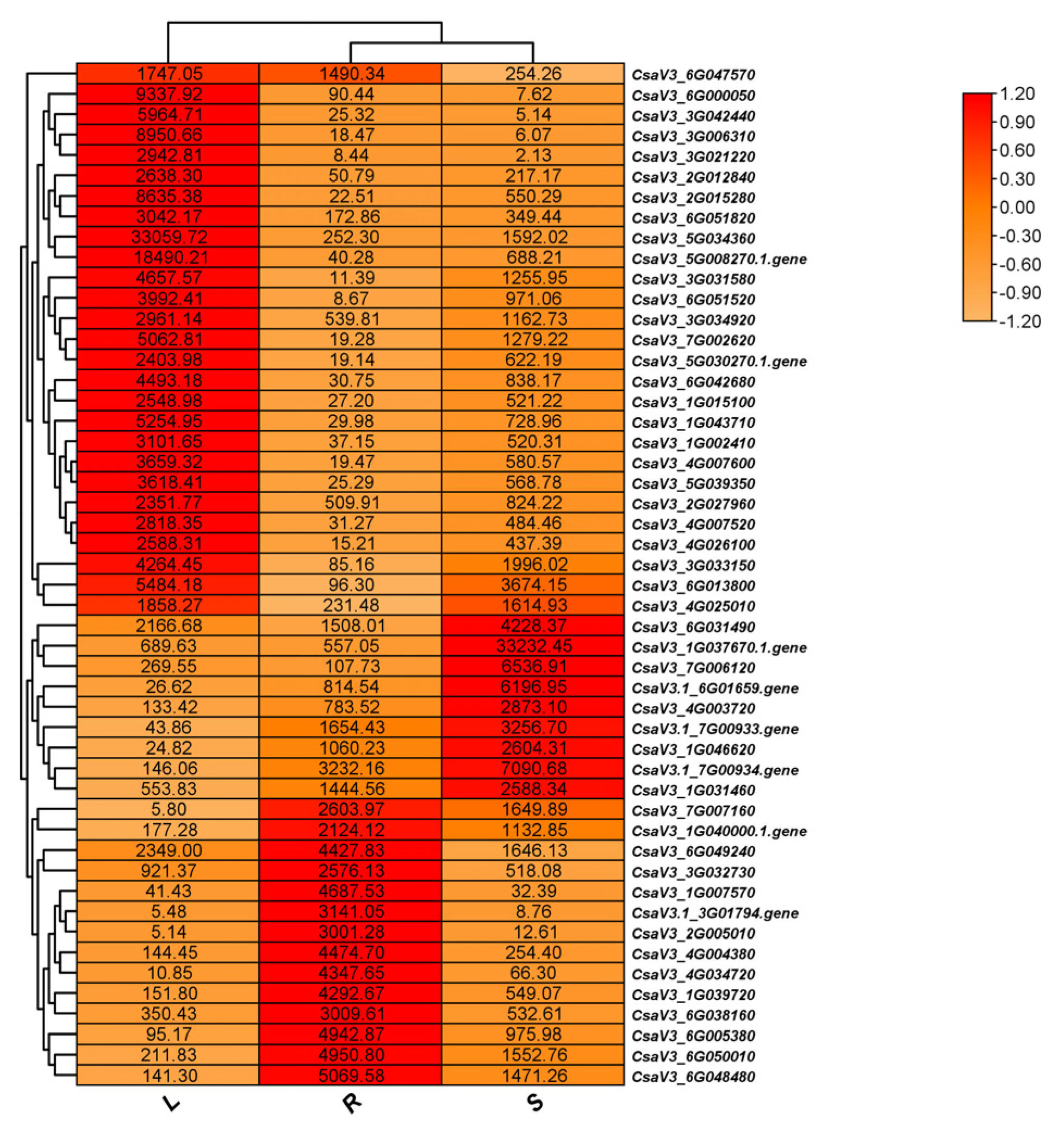 Preprints 104351 g006