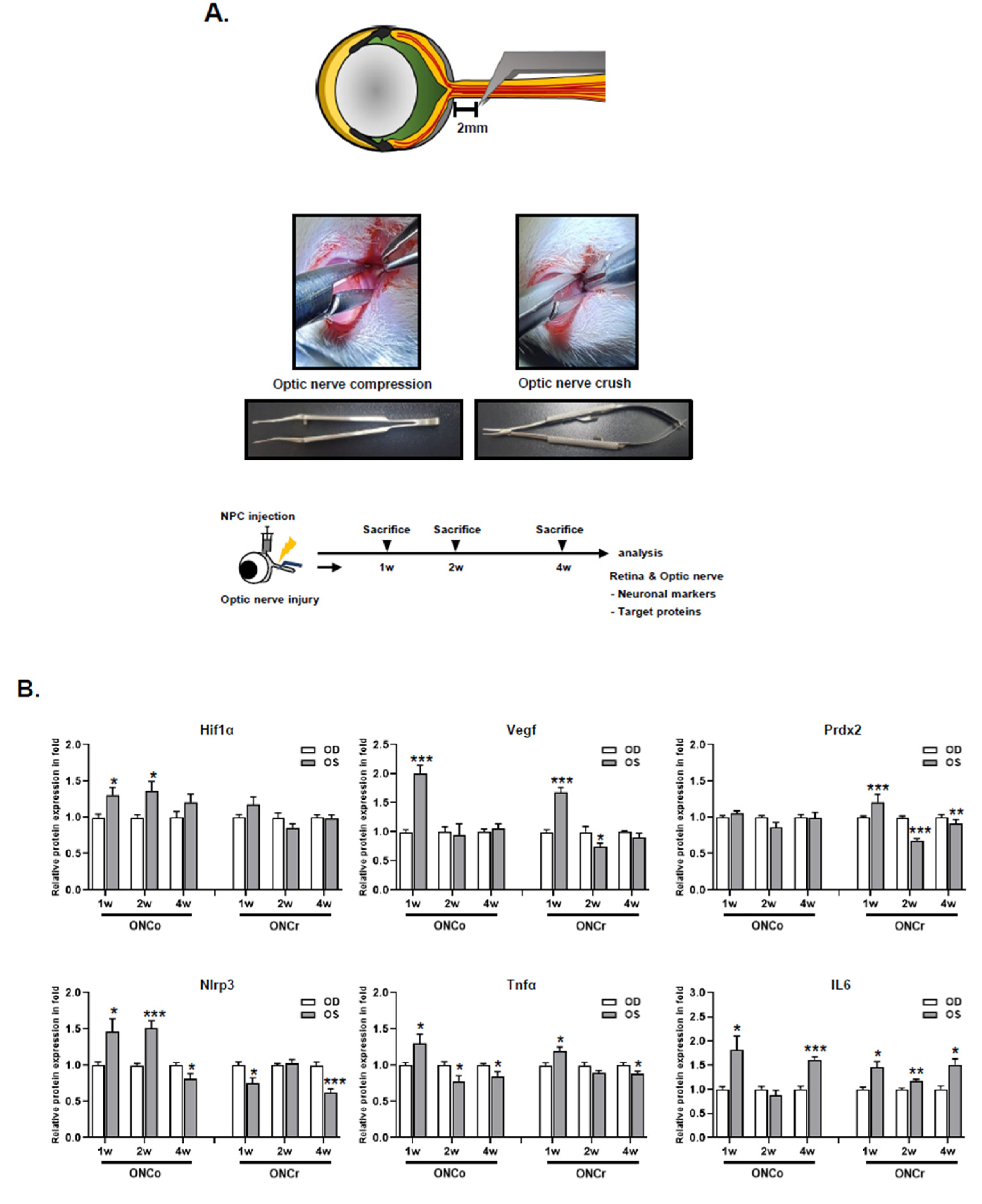 Preprints 83921 g001a