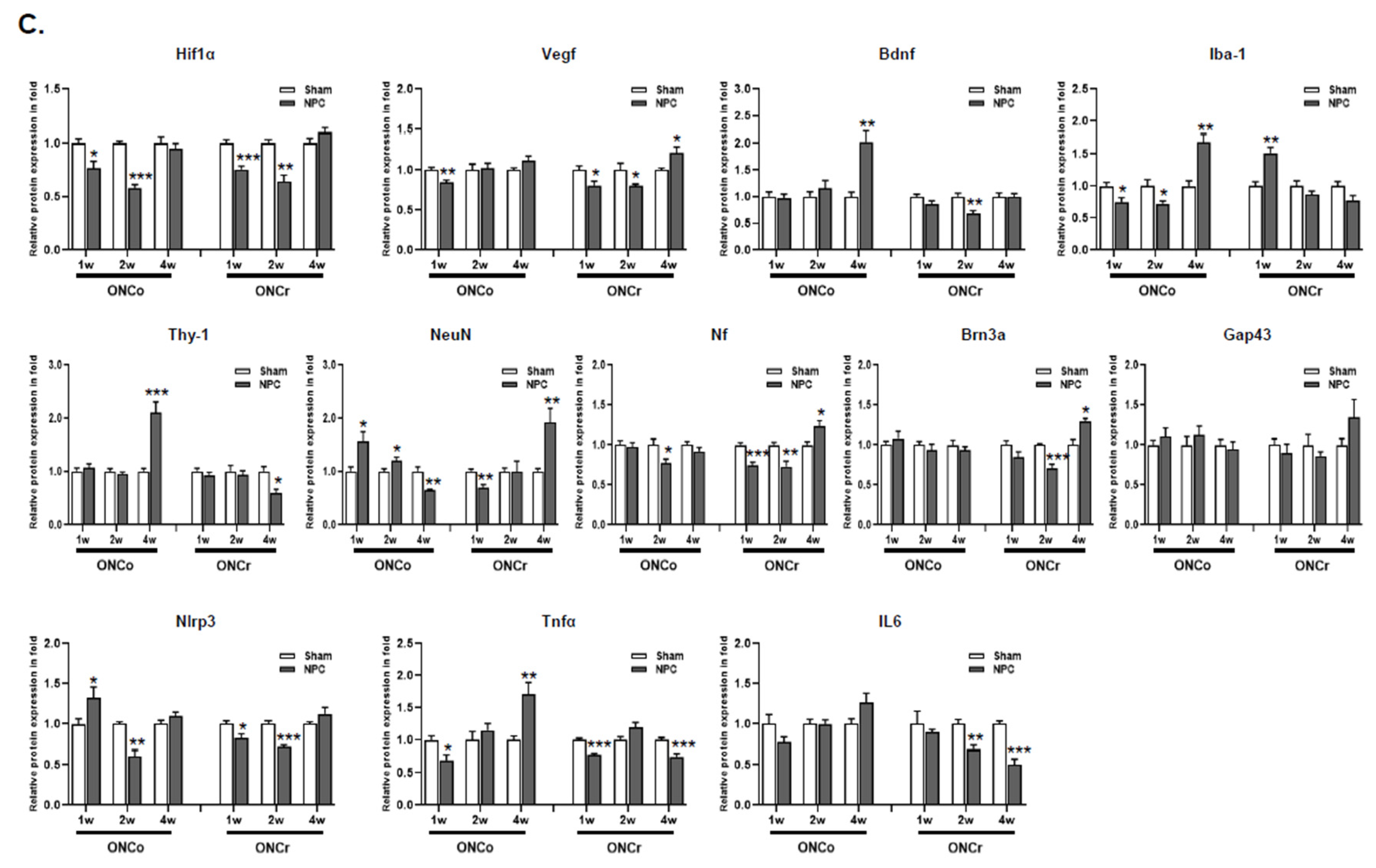 Preprints 83921 g001b