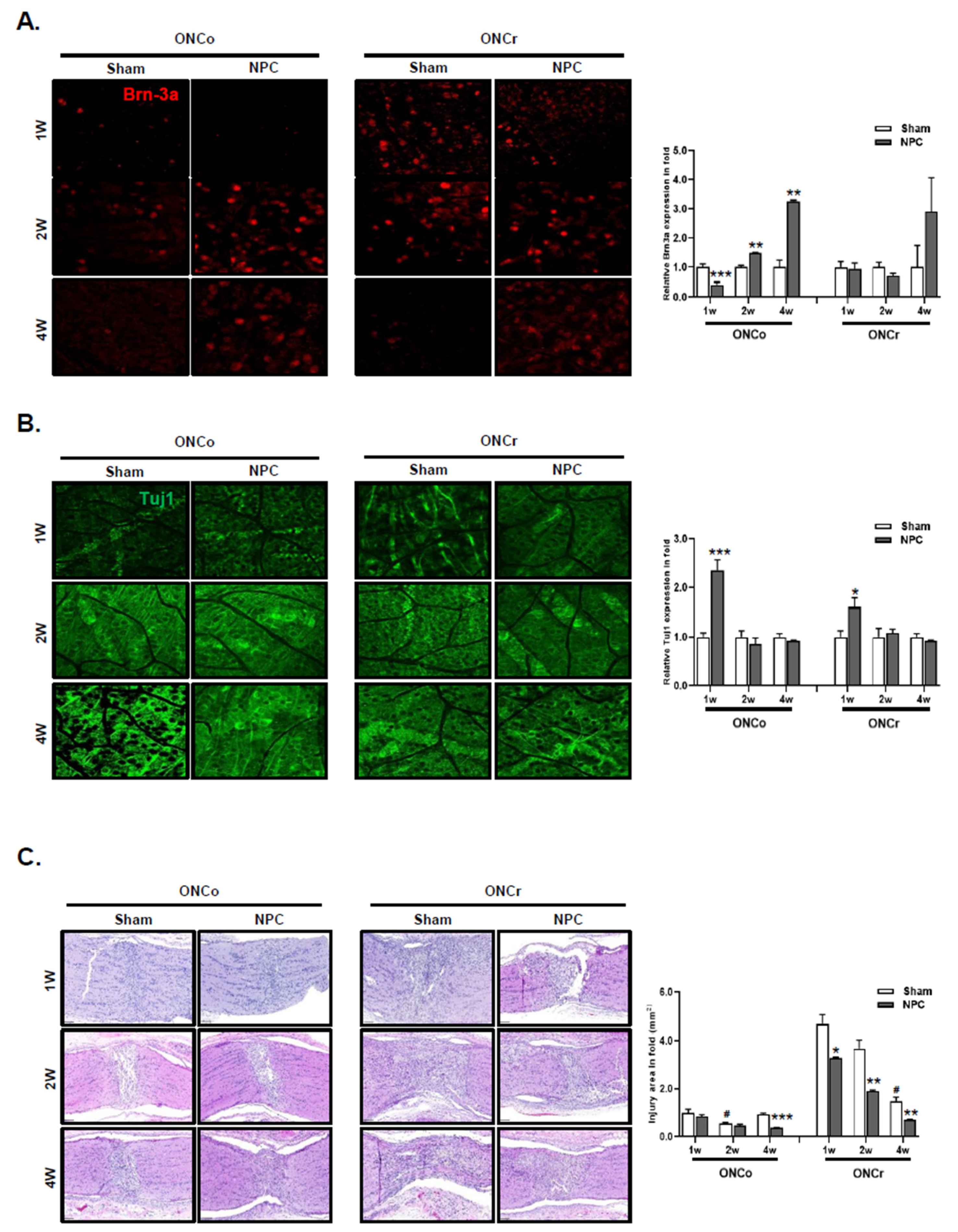 Preprints 83921 g002a