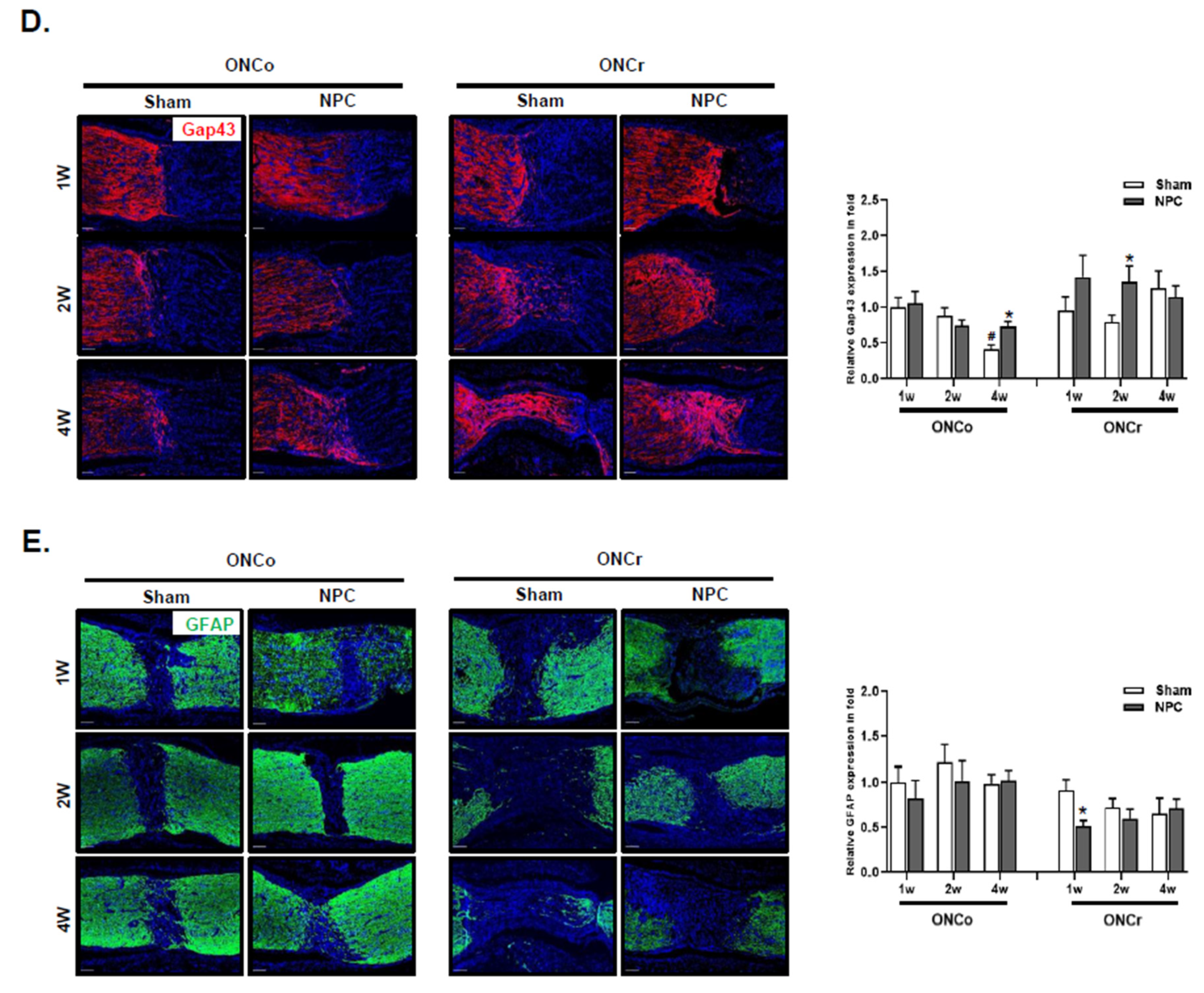 Preprints 83921 g002b