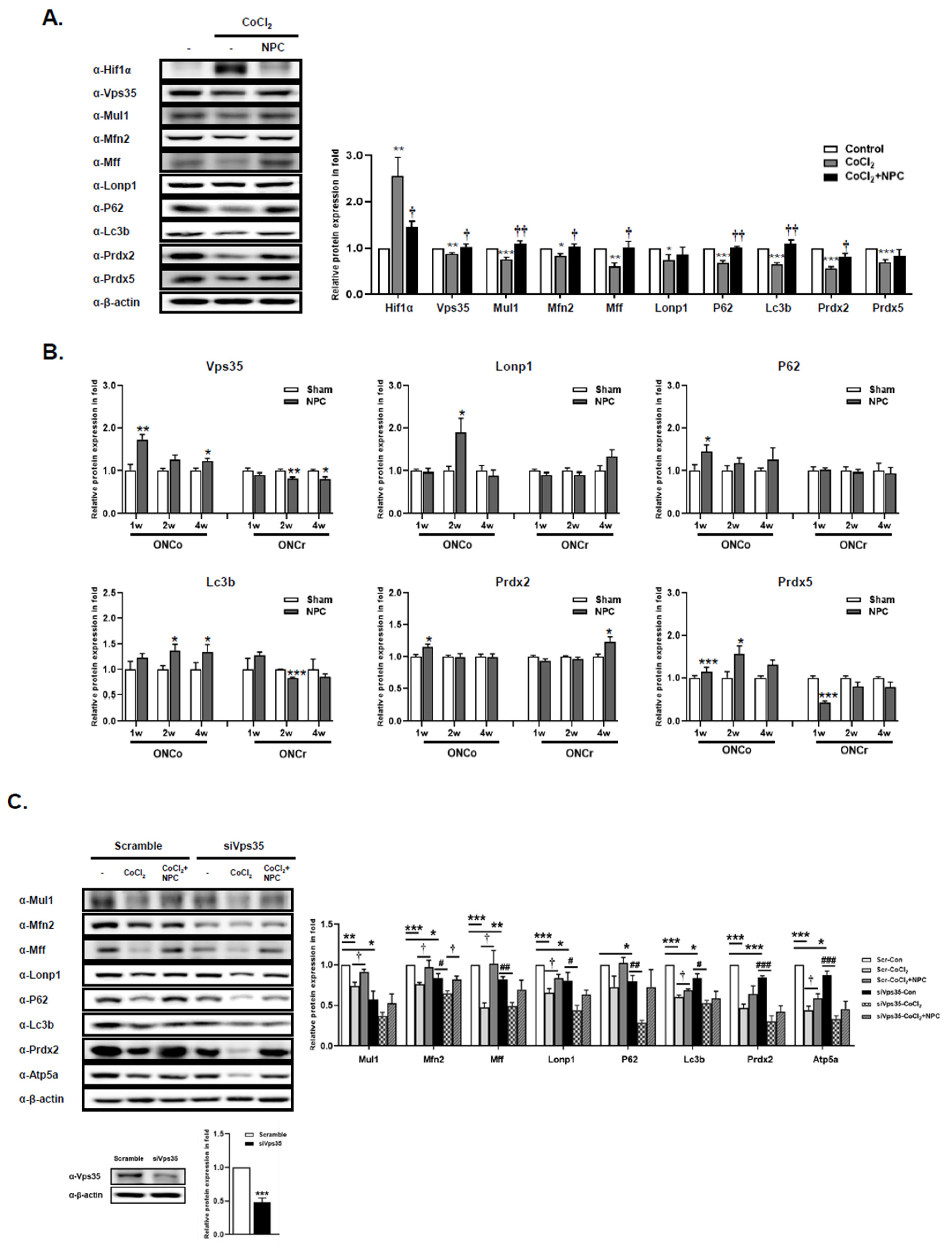 Preprints 83921 g004