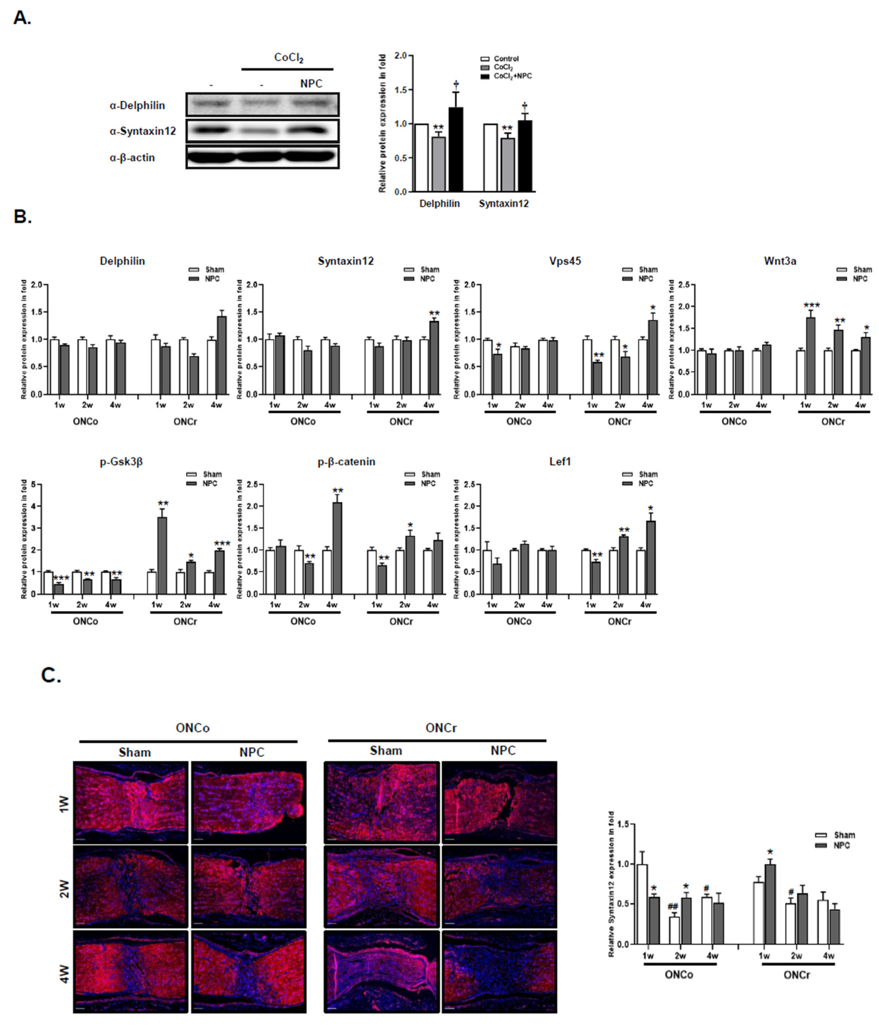 Preprints 83921 g005