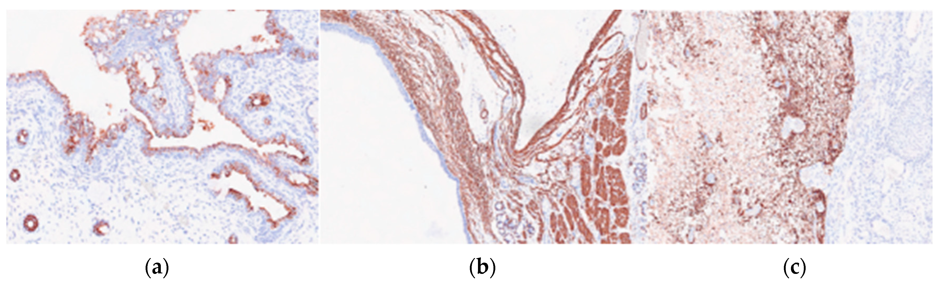 Preprints 85163 g004