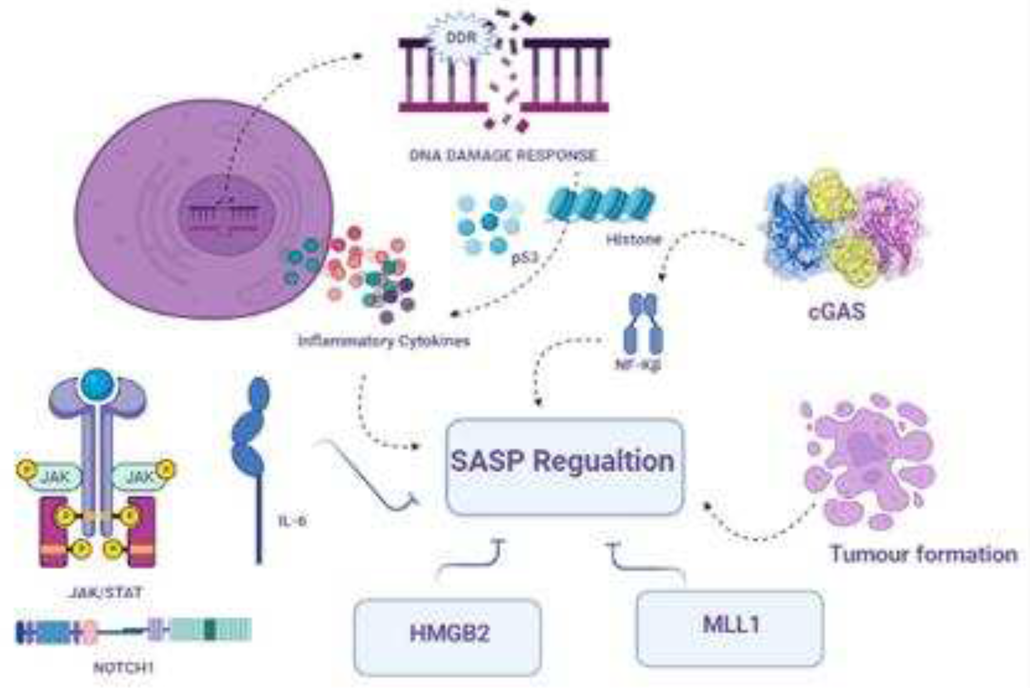 Preprints 86332 g002