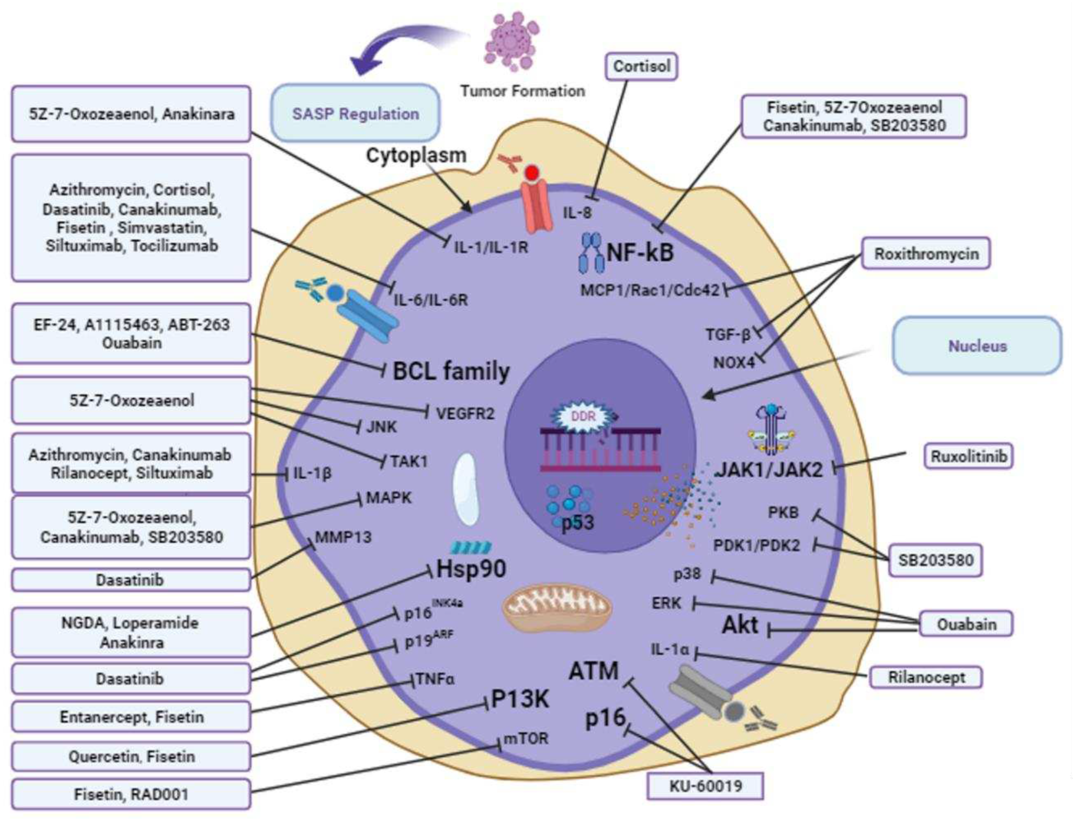 Preprints 86332 g003