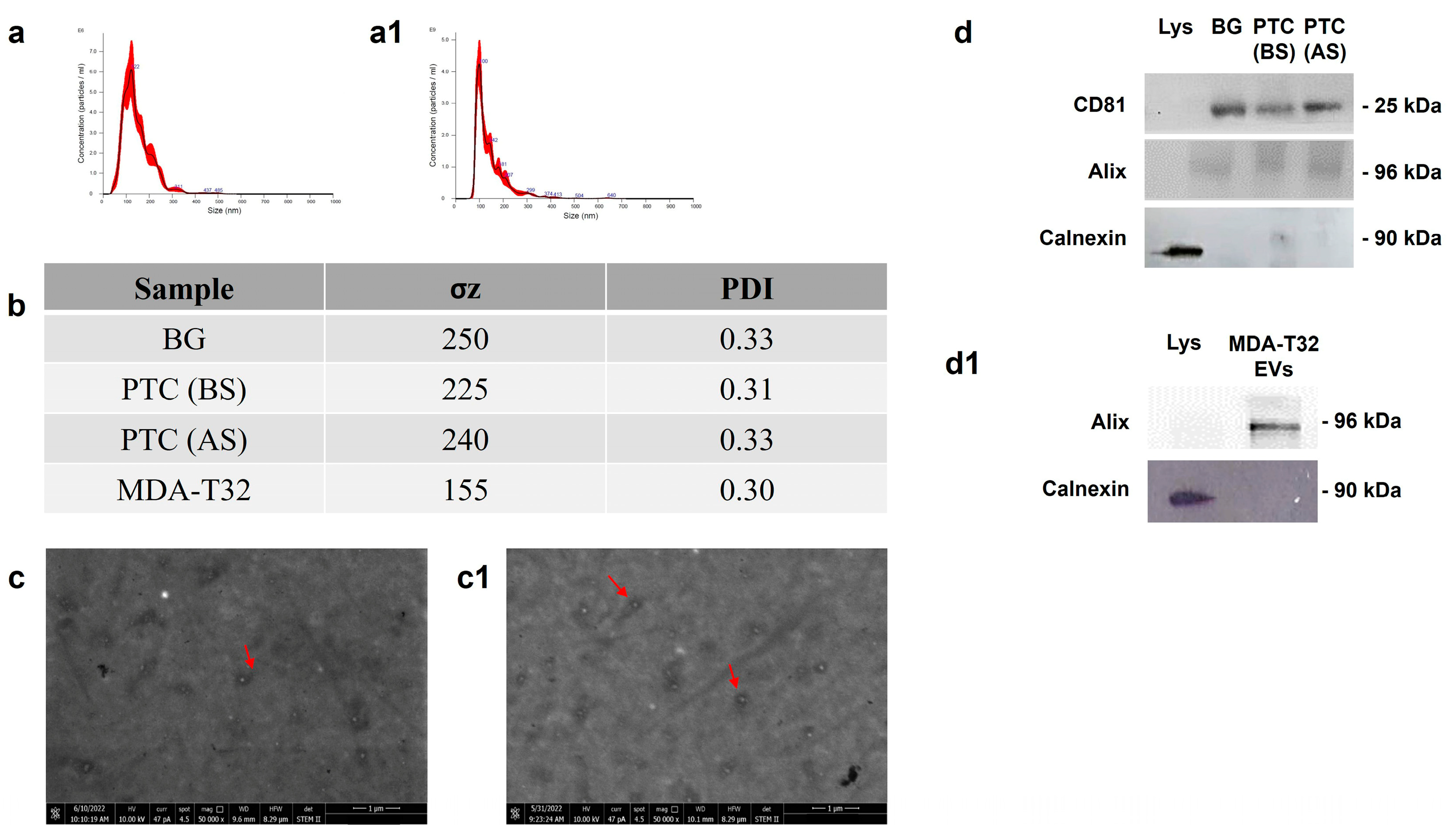 Preprints 114133 i001