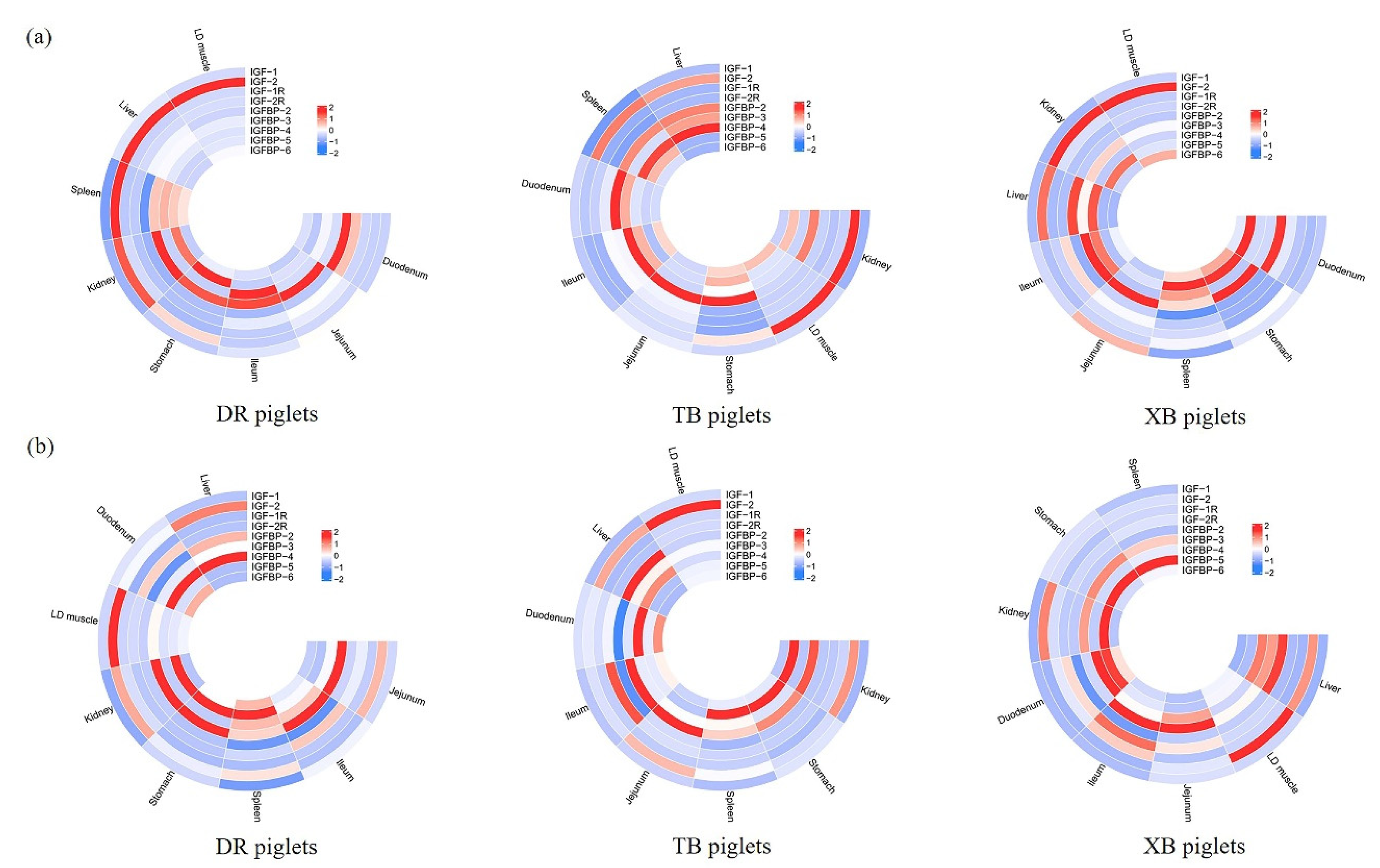 Preprints 82163 g001