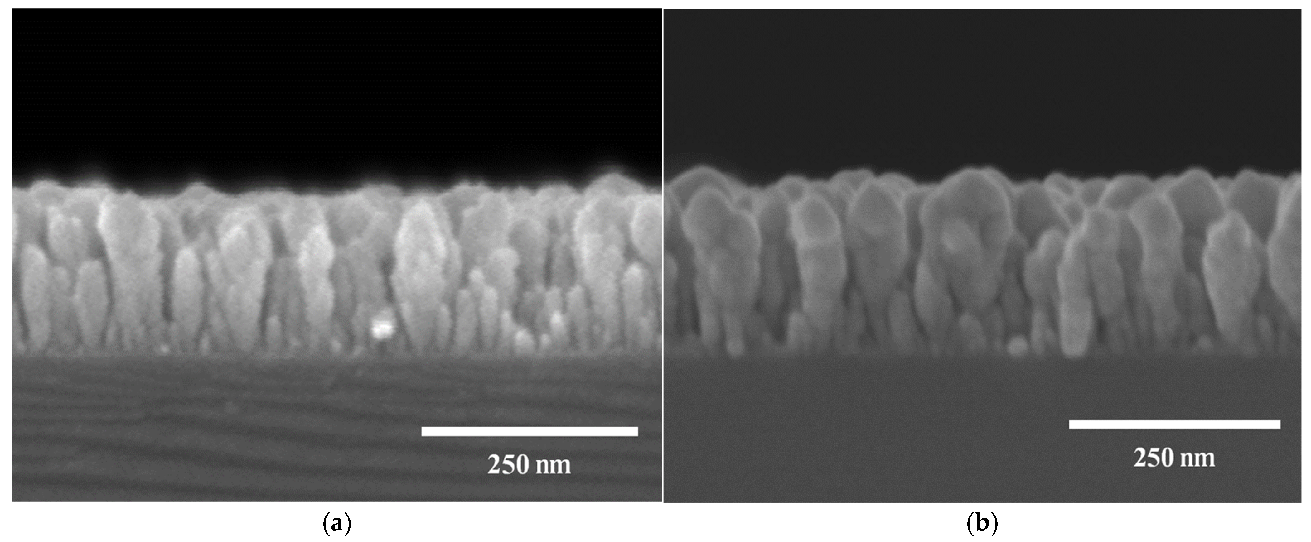 Preprints 108054 g005a