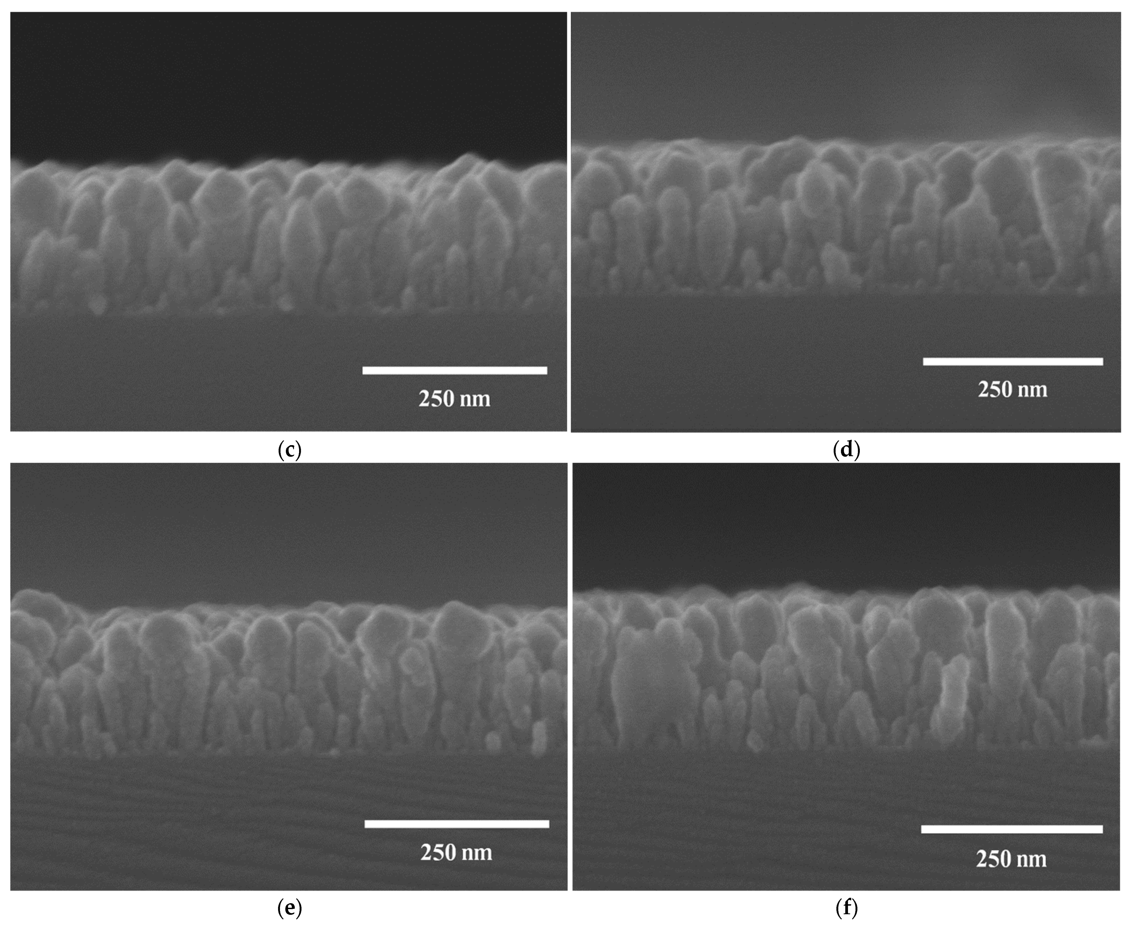 Preprints 108054 g005b