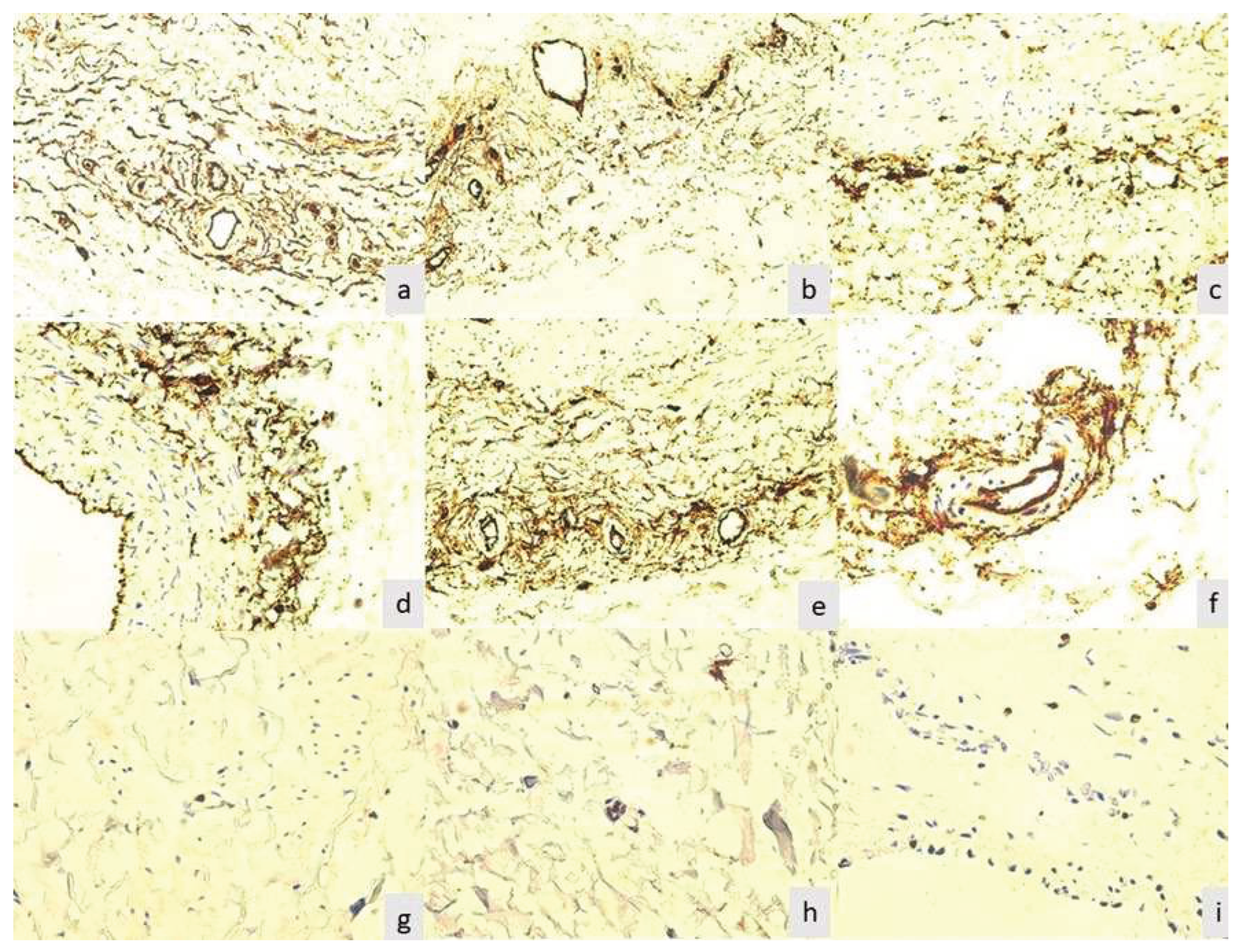 Preprints 86495 g002