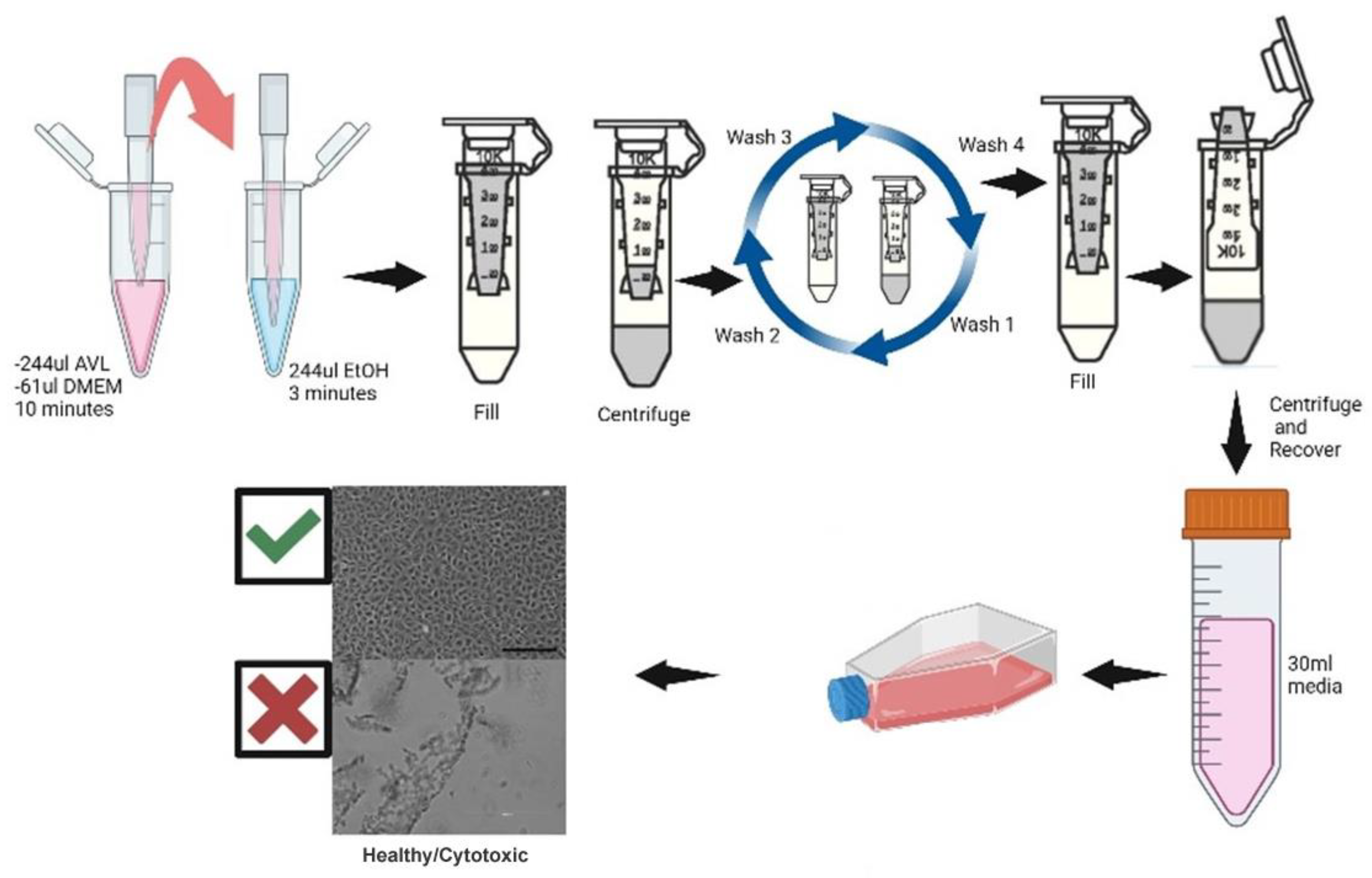 Preprints 112397 g001