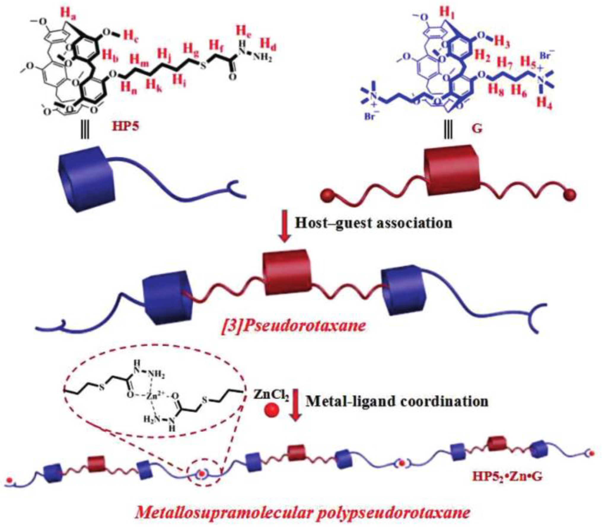 Preprints 98608 g005