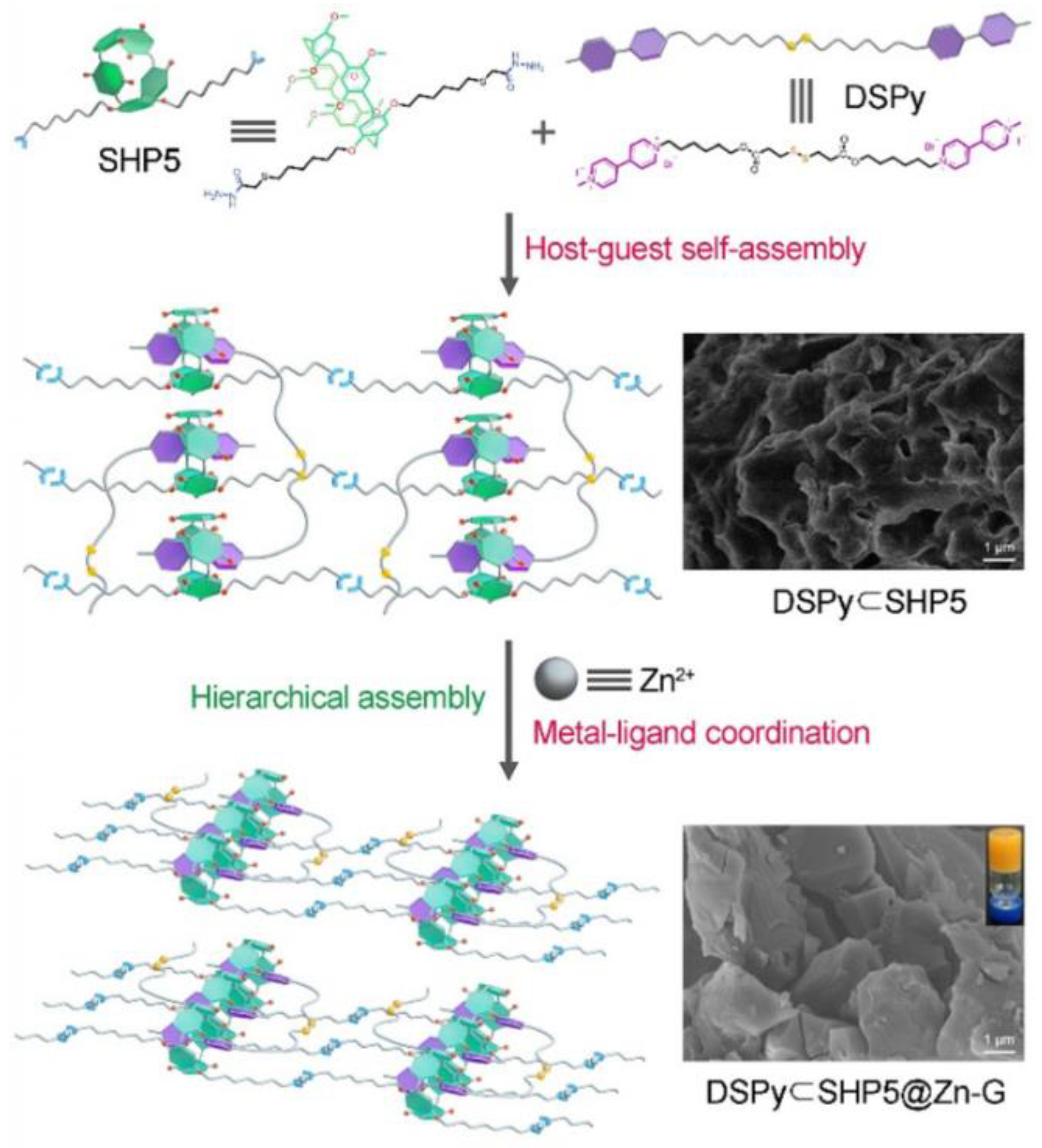 Preprints 98608 g009