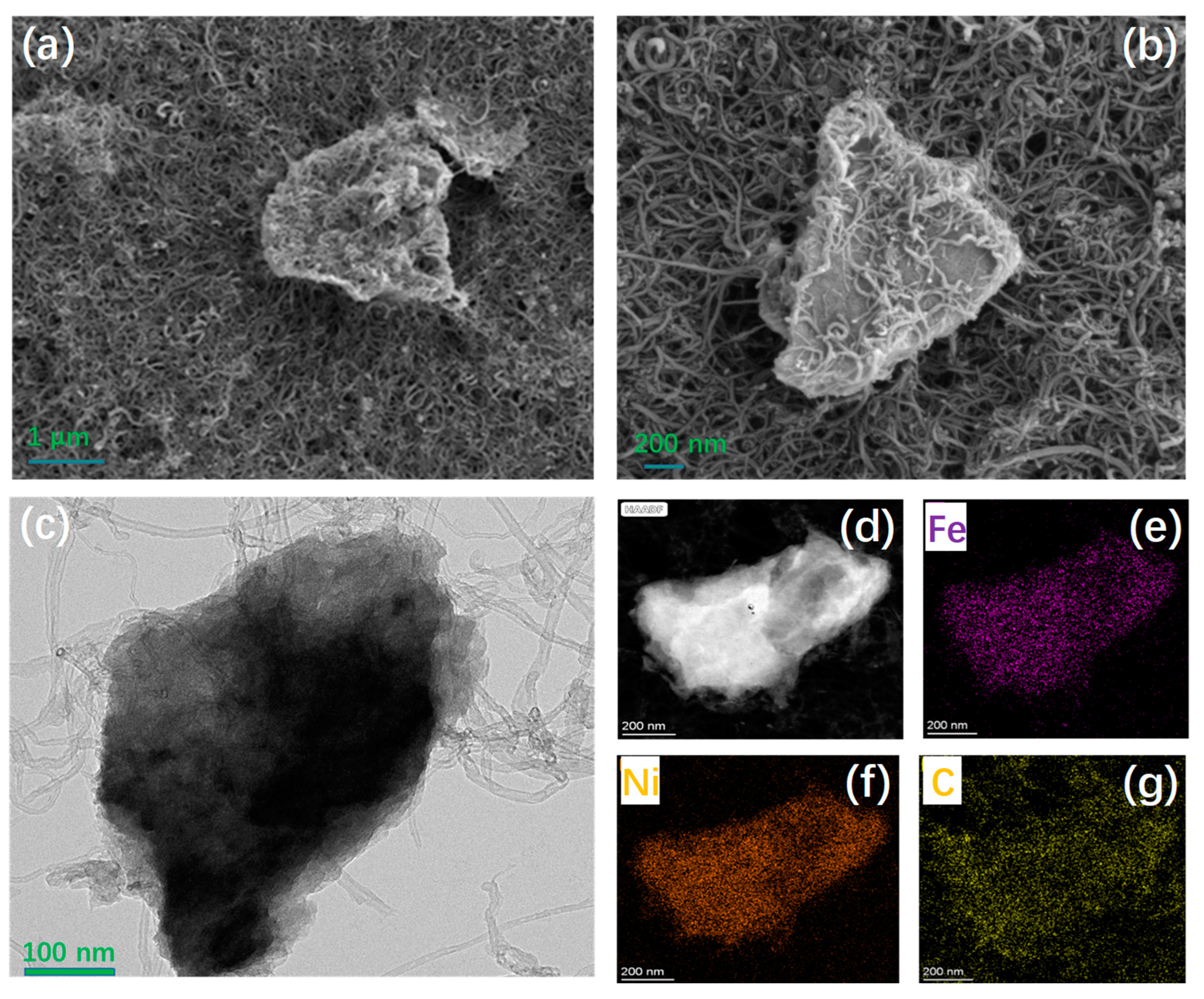 Preprints 87217 g004