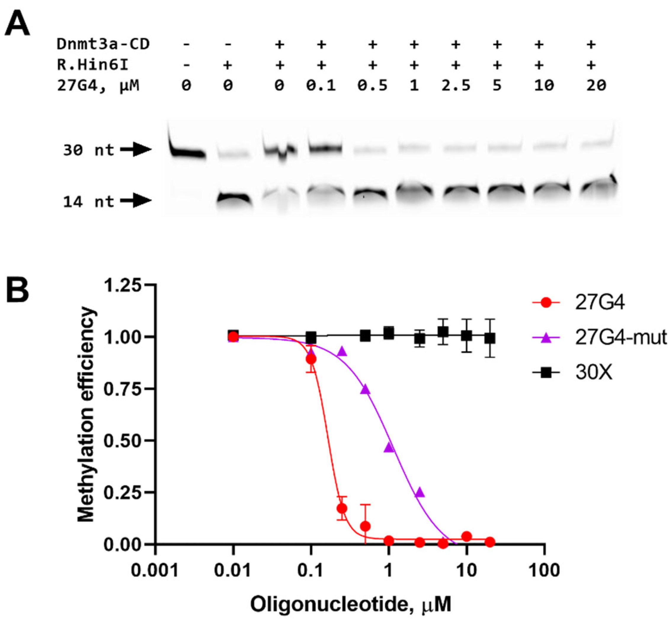 Preprints 92752 g005