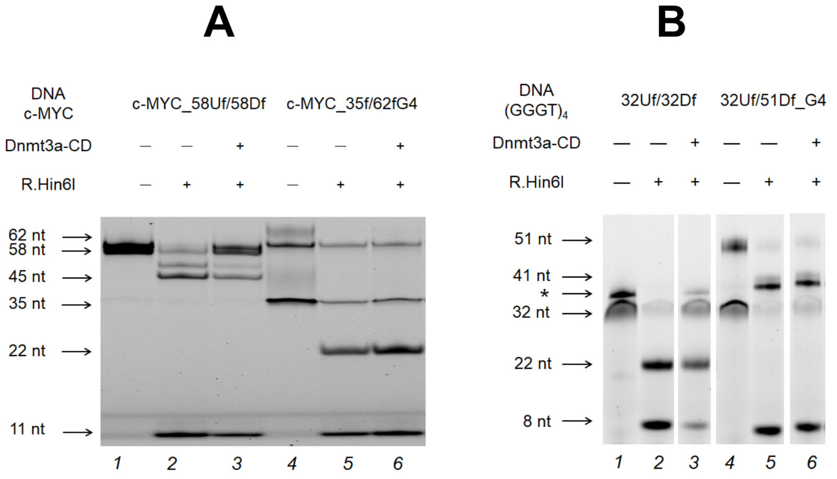 Preprints 92752 g006