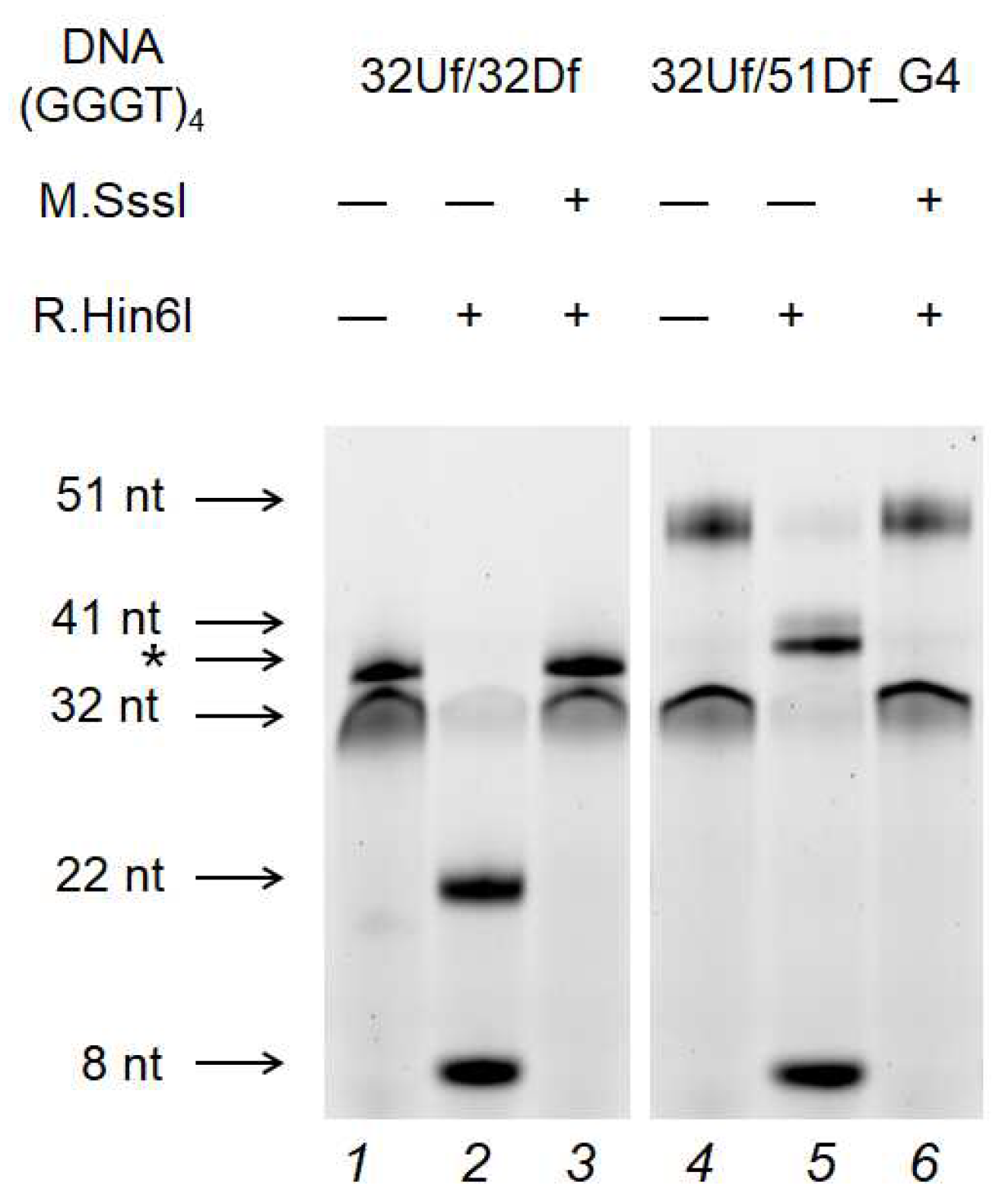 Preprints 92752 g008