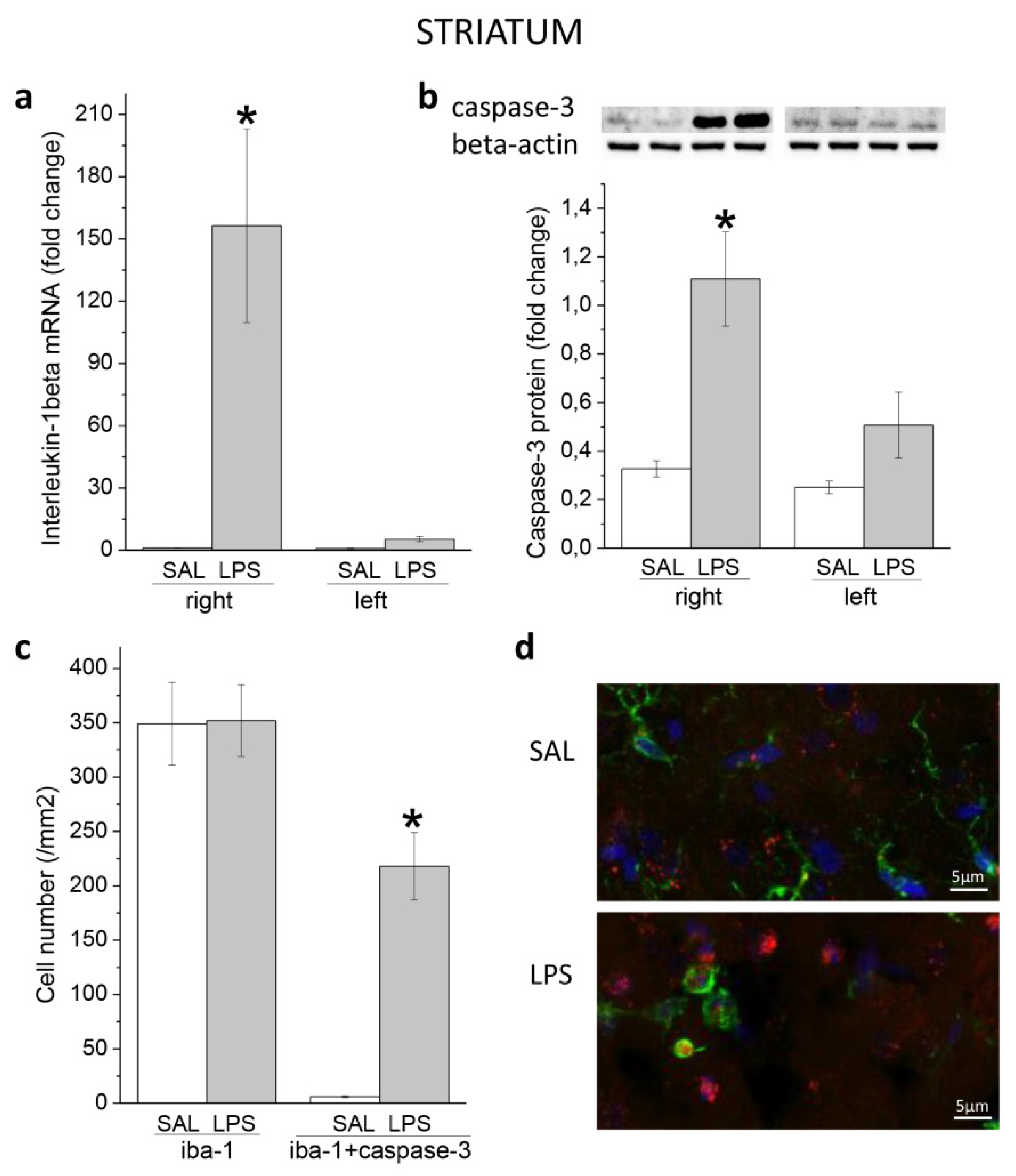 Preprints 81469 g001