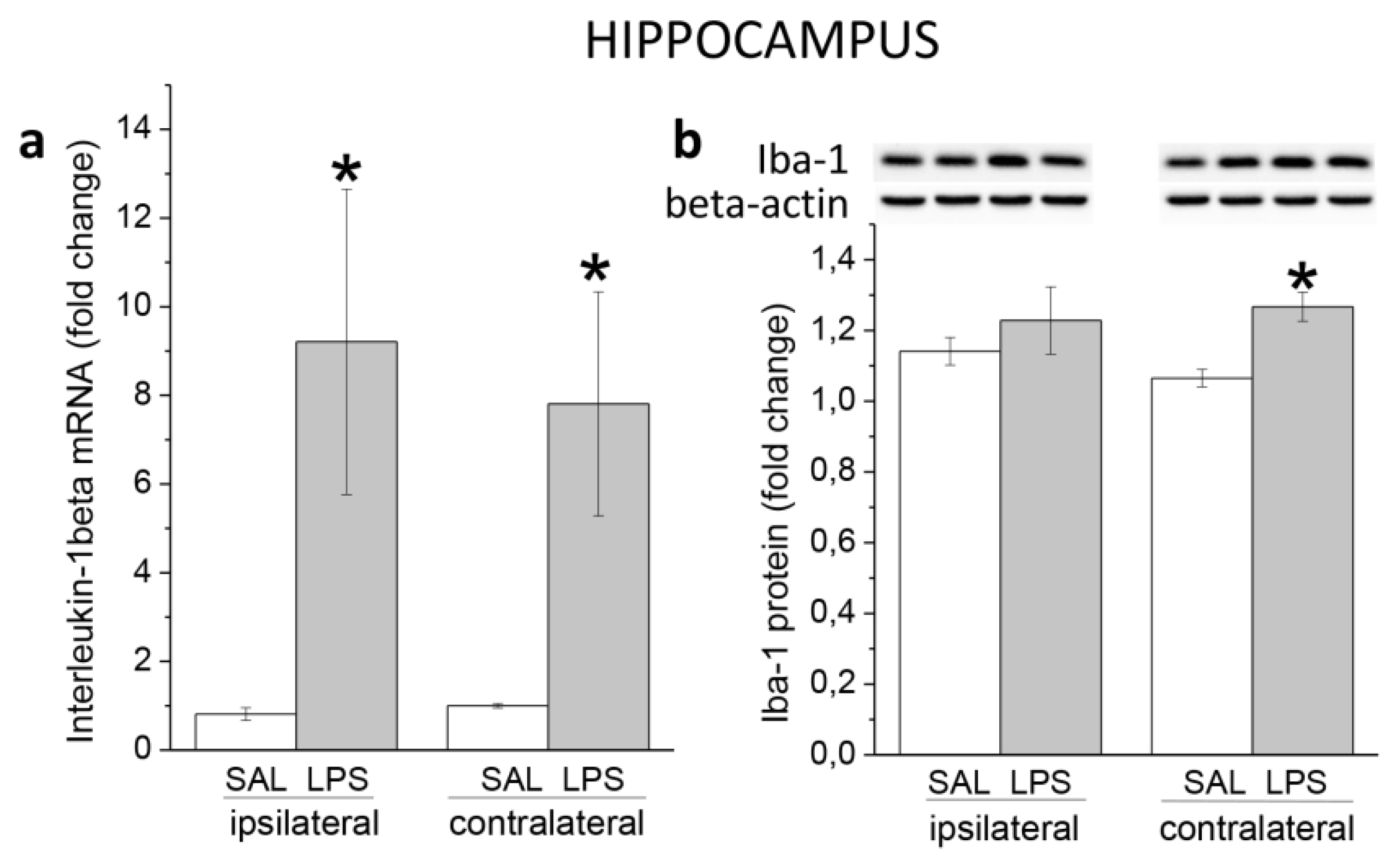 Preprints 81469 g002