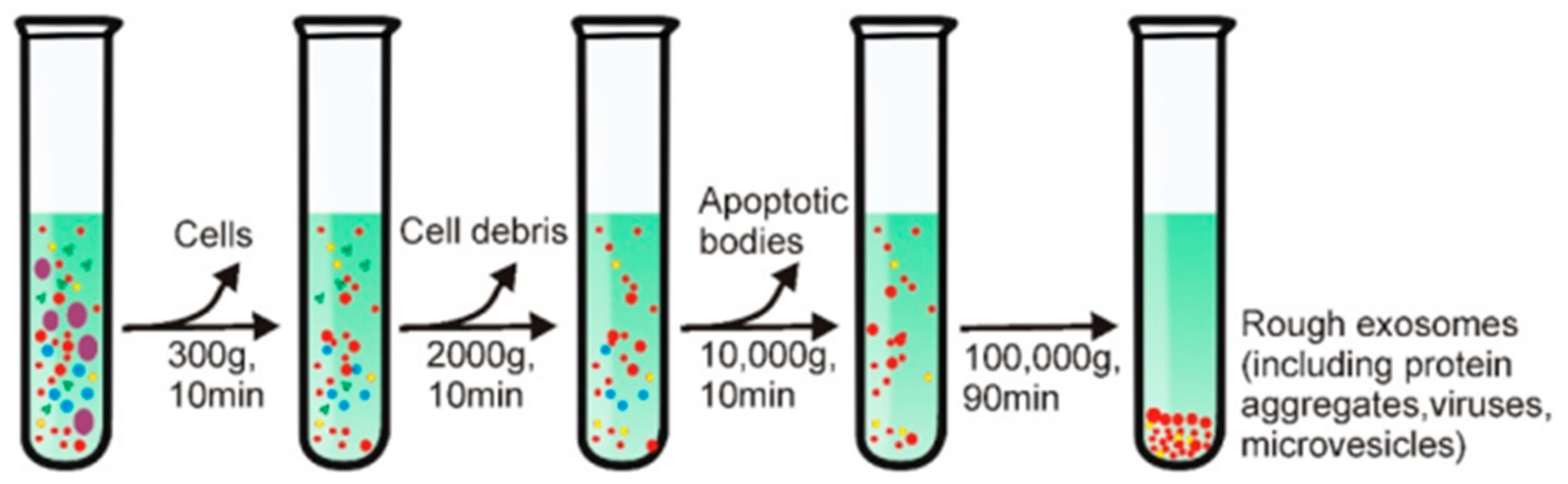 Preprints 96715 g004