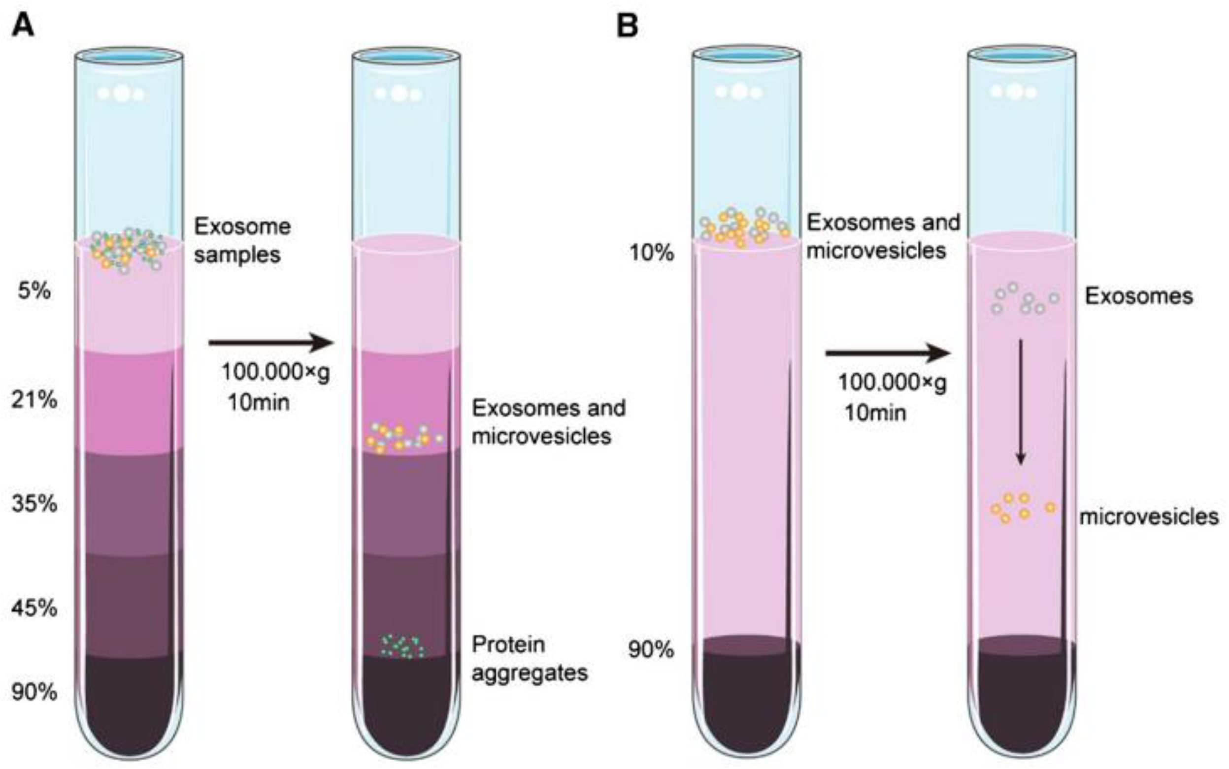 Preprints 96715 g005