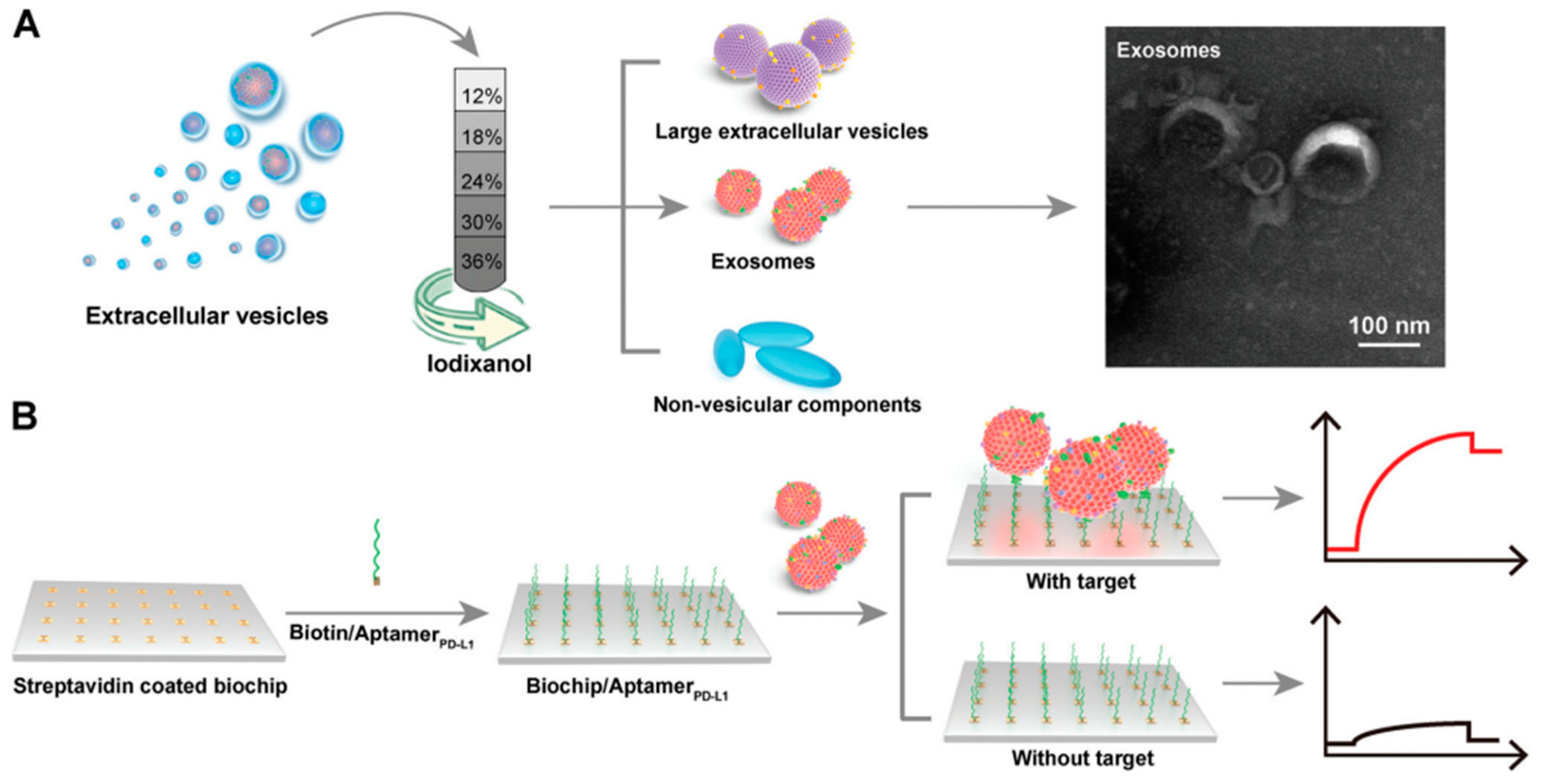 Preprints 96715 g007