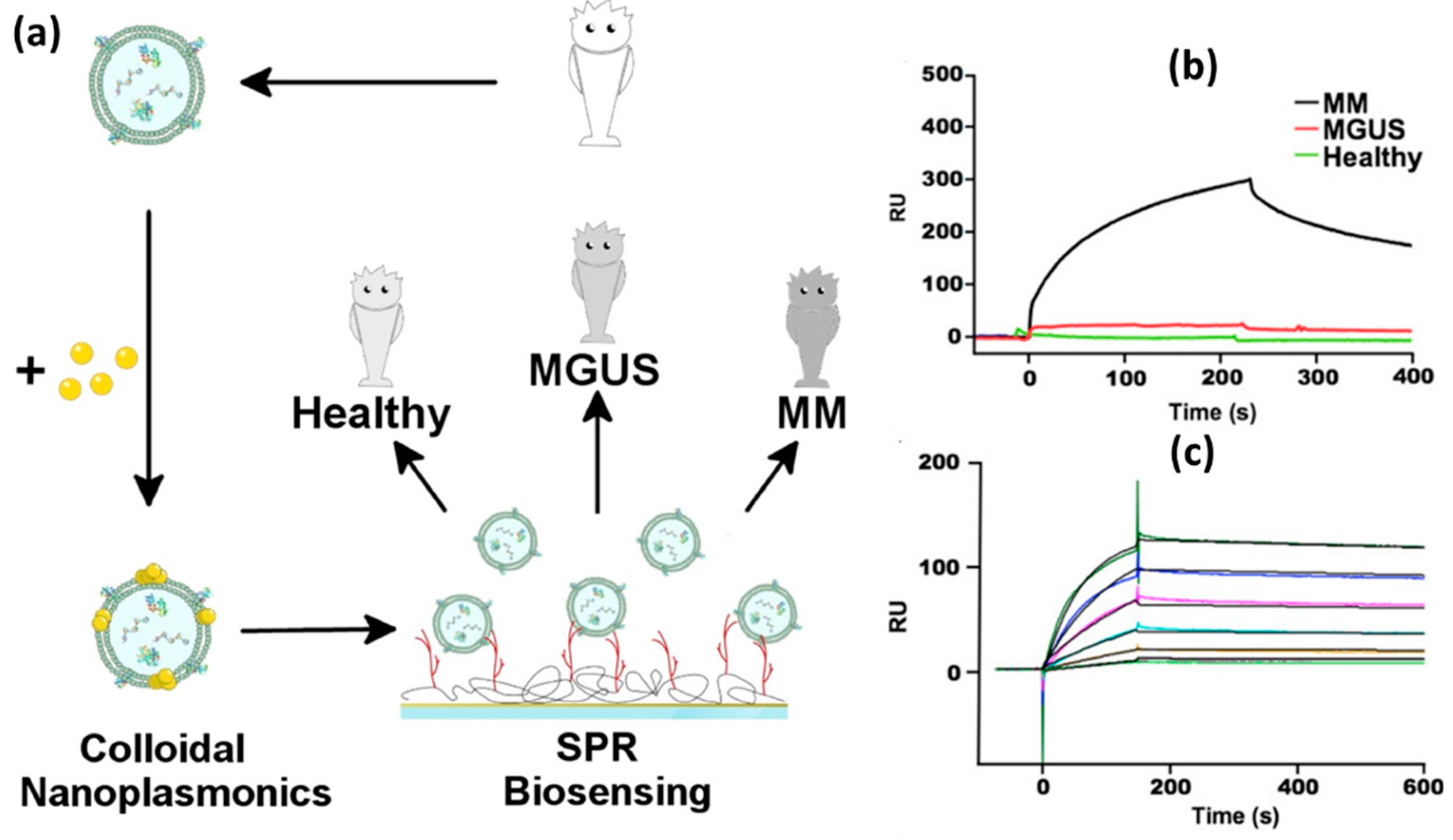 Preprints 96715 g008