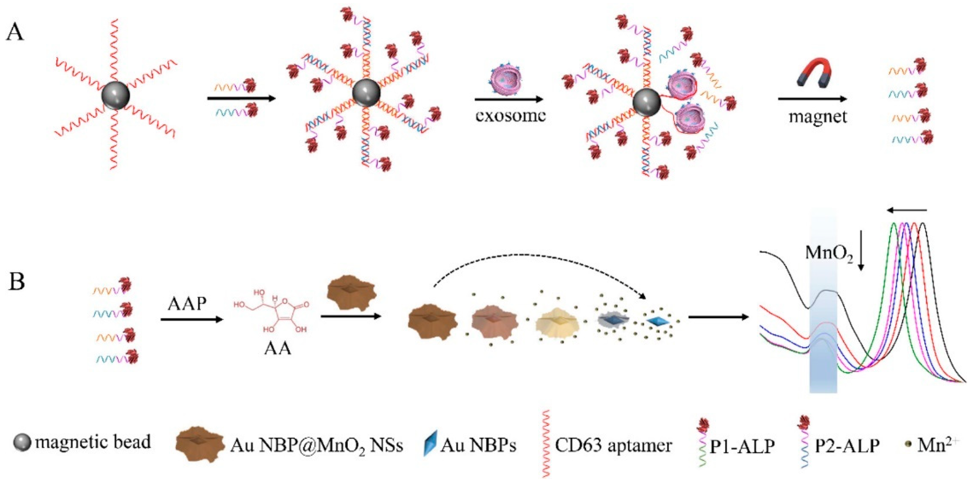 Preprints 96715 g013