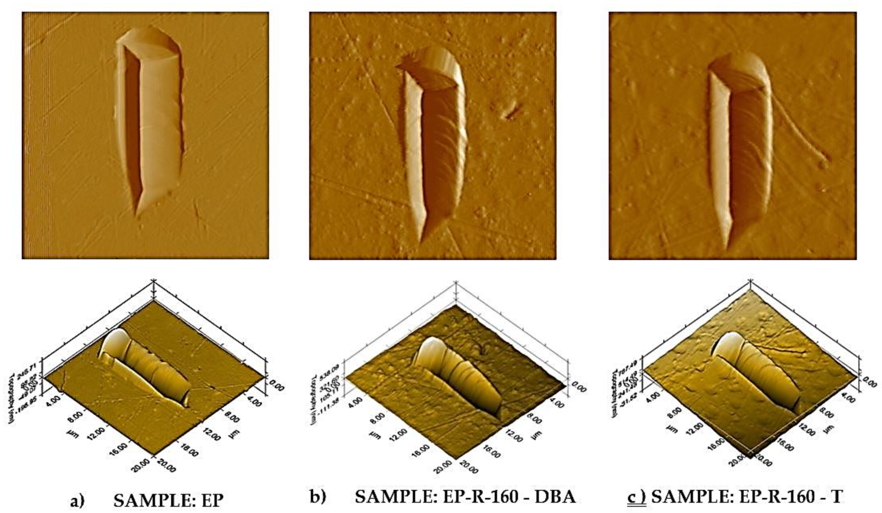 Preprints 108221 g015