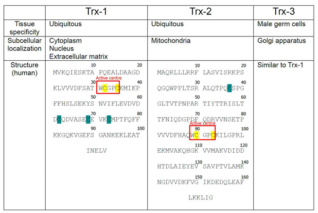 Preprints 96364 i001