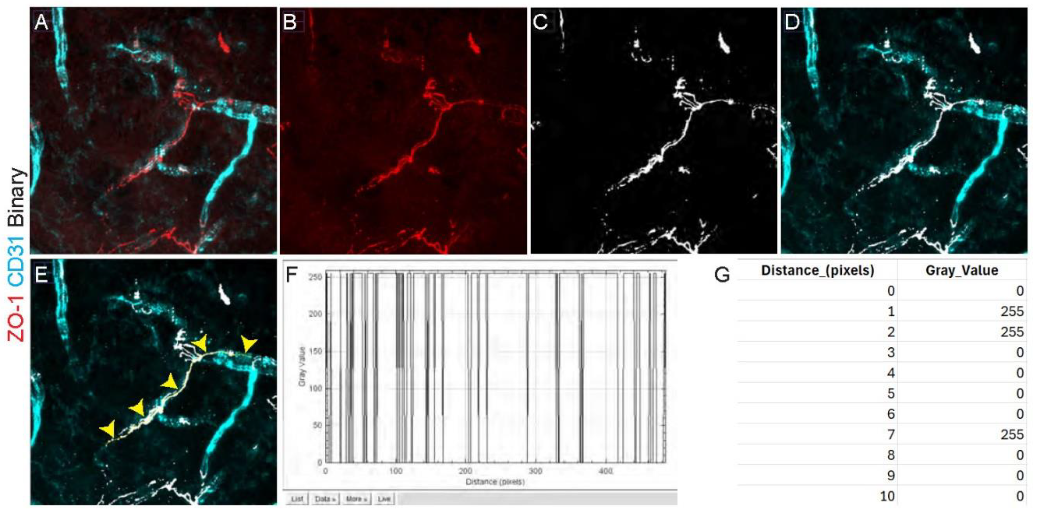 Preprints 117176 g003