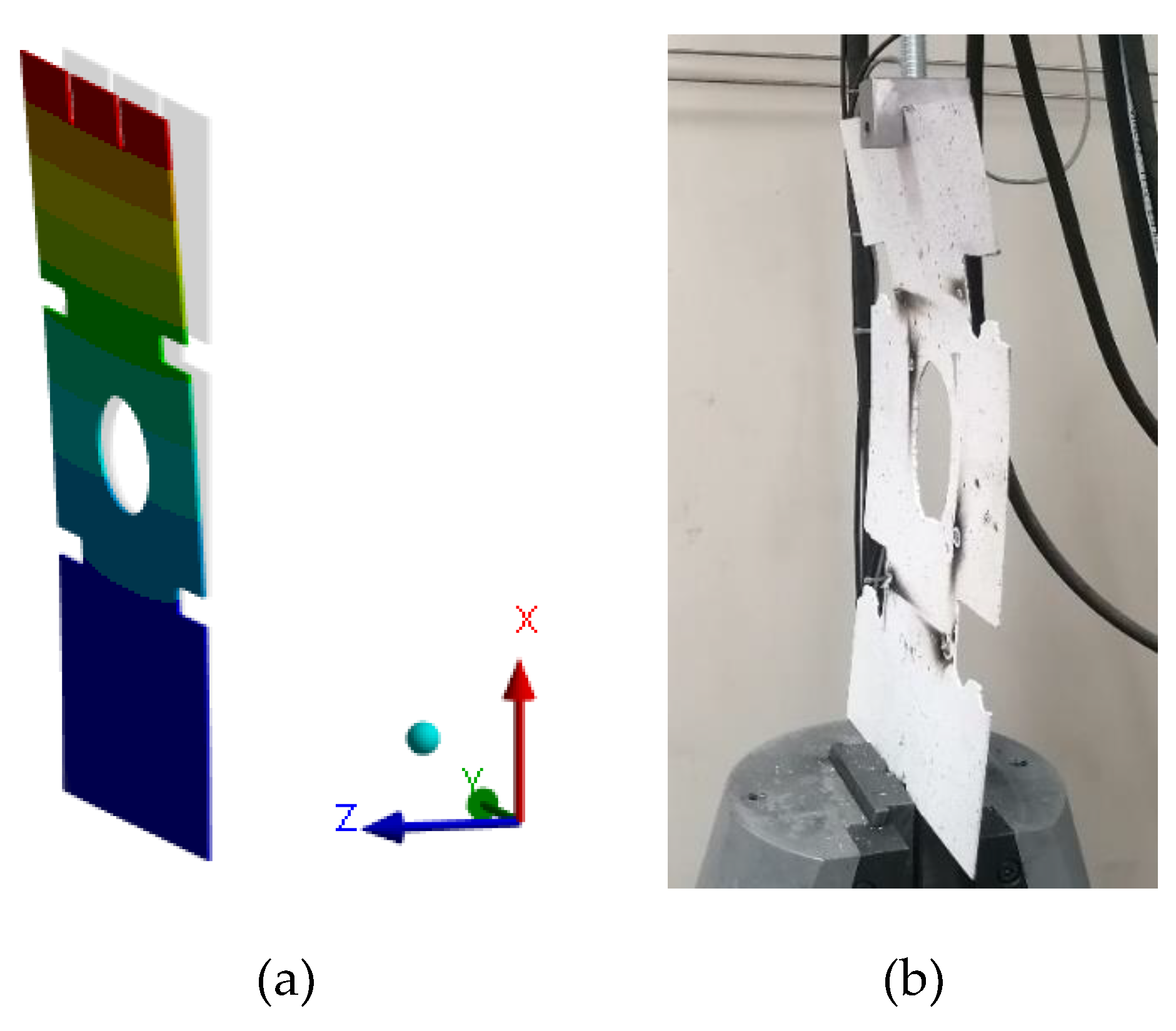 Preprints 138024 g008