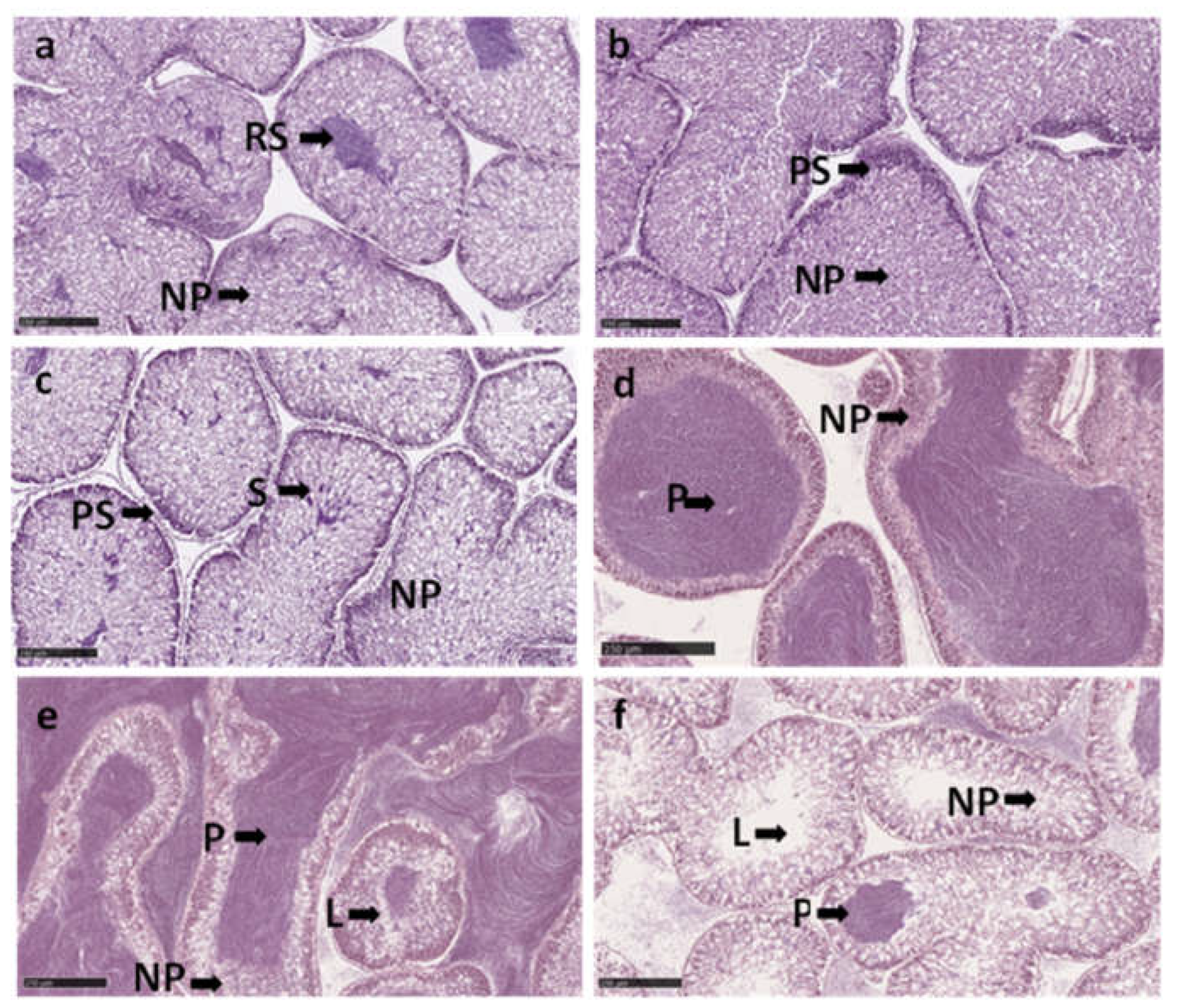 Preprints 105968 g003