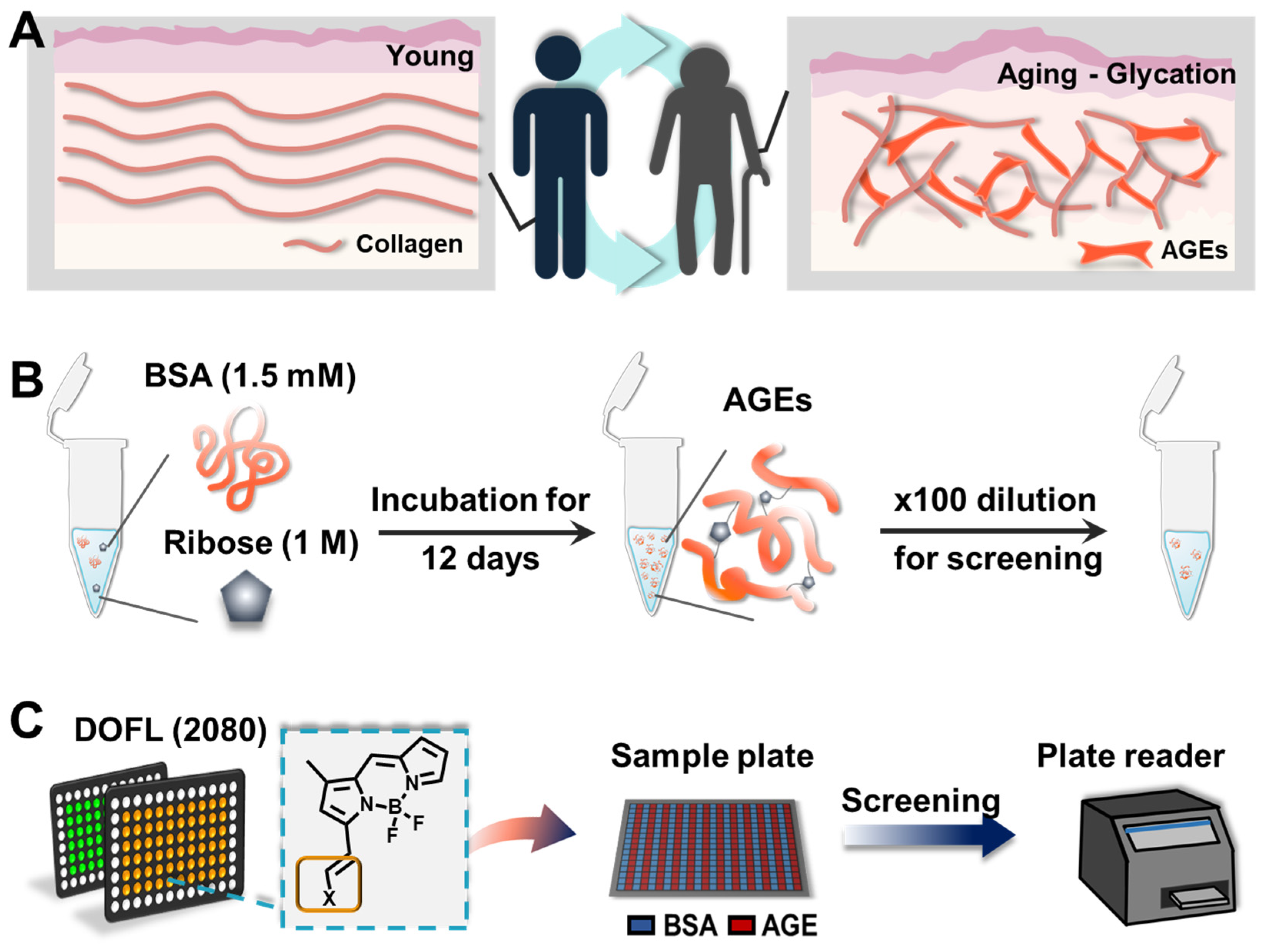 Preprints 100056 g001