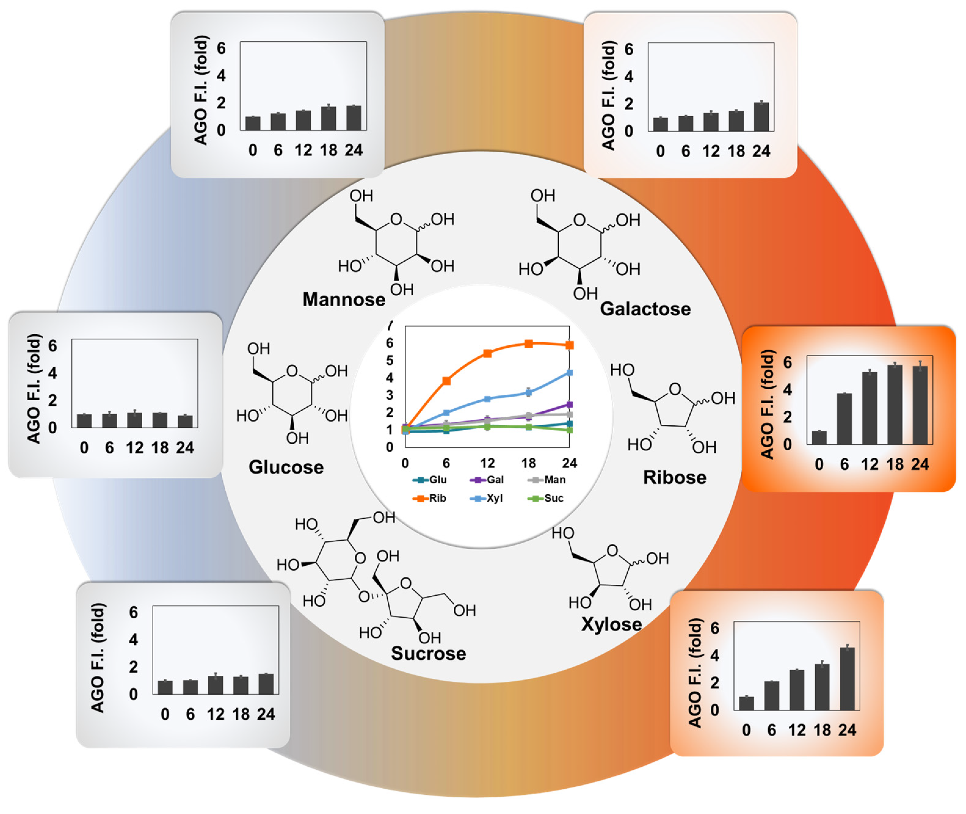 Preprints 100056 g004