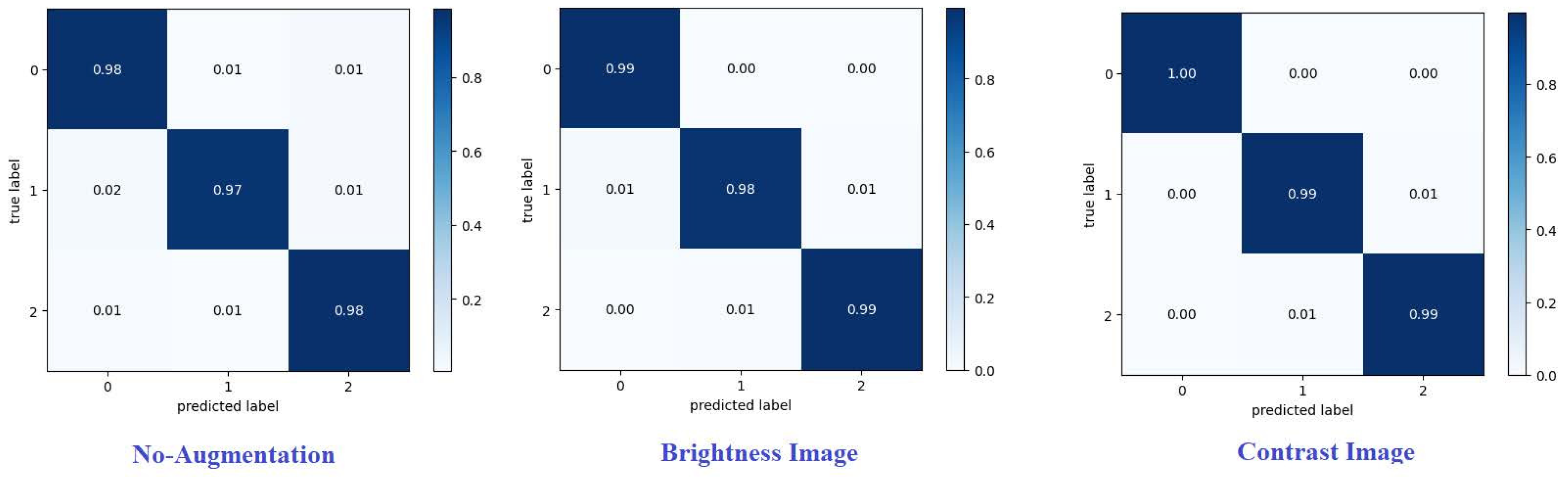 Preprints 118787 g009